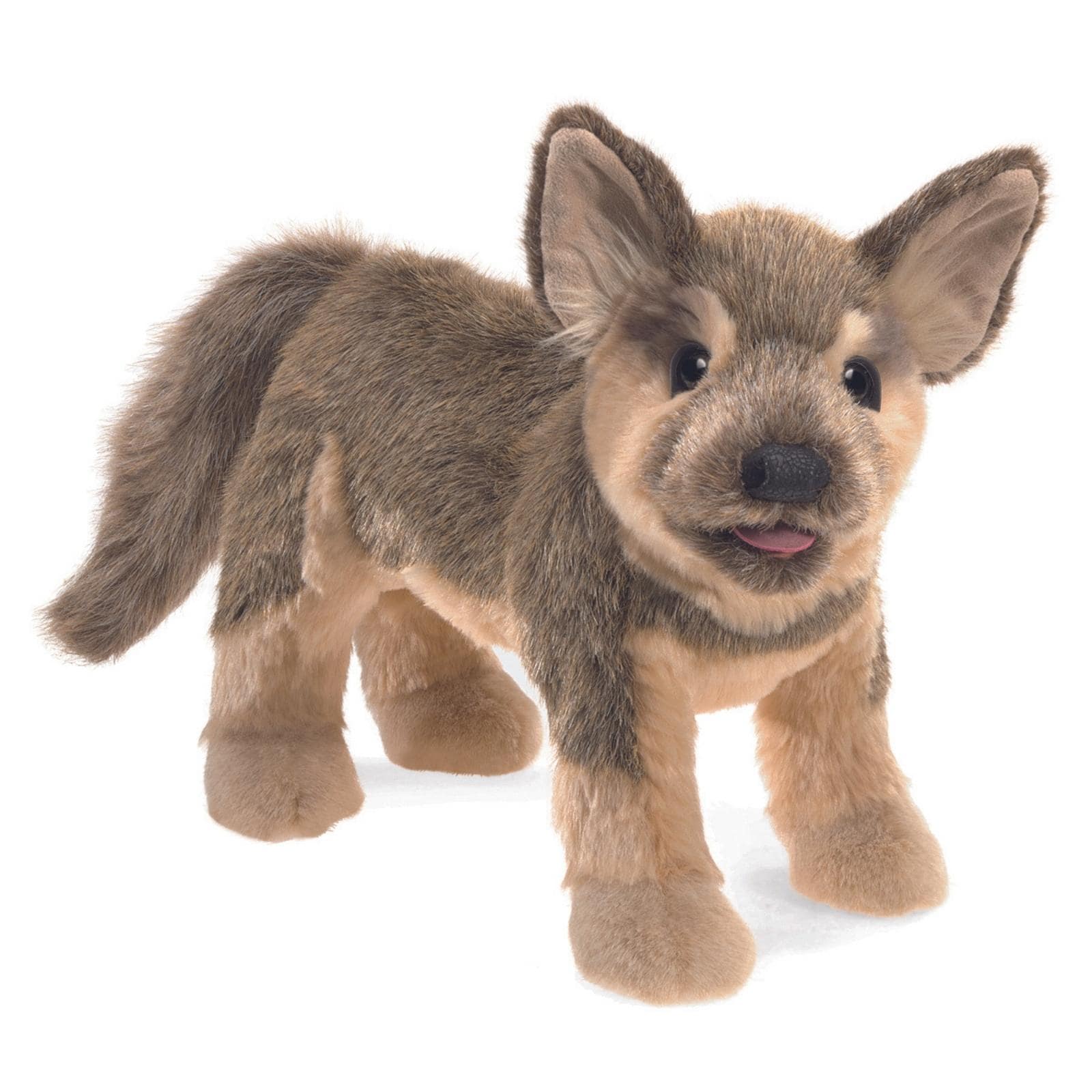 German Shepherd Puppy