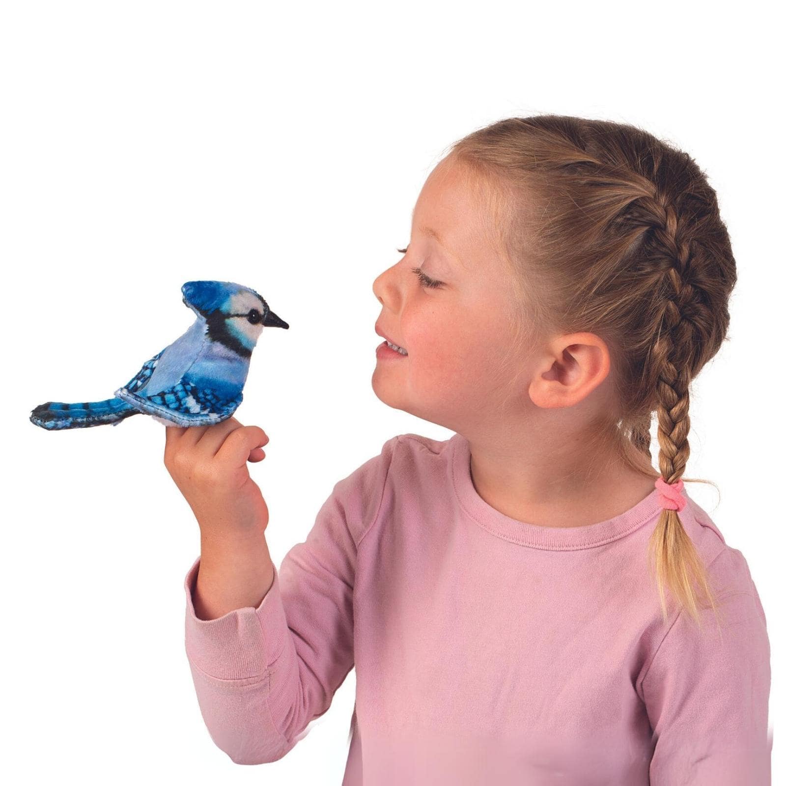 Mini Blue Jay