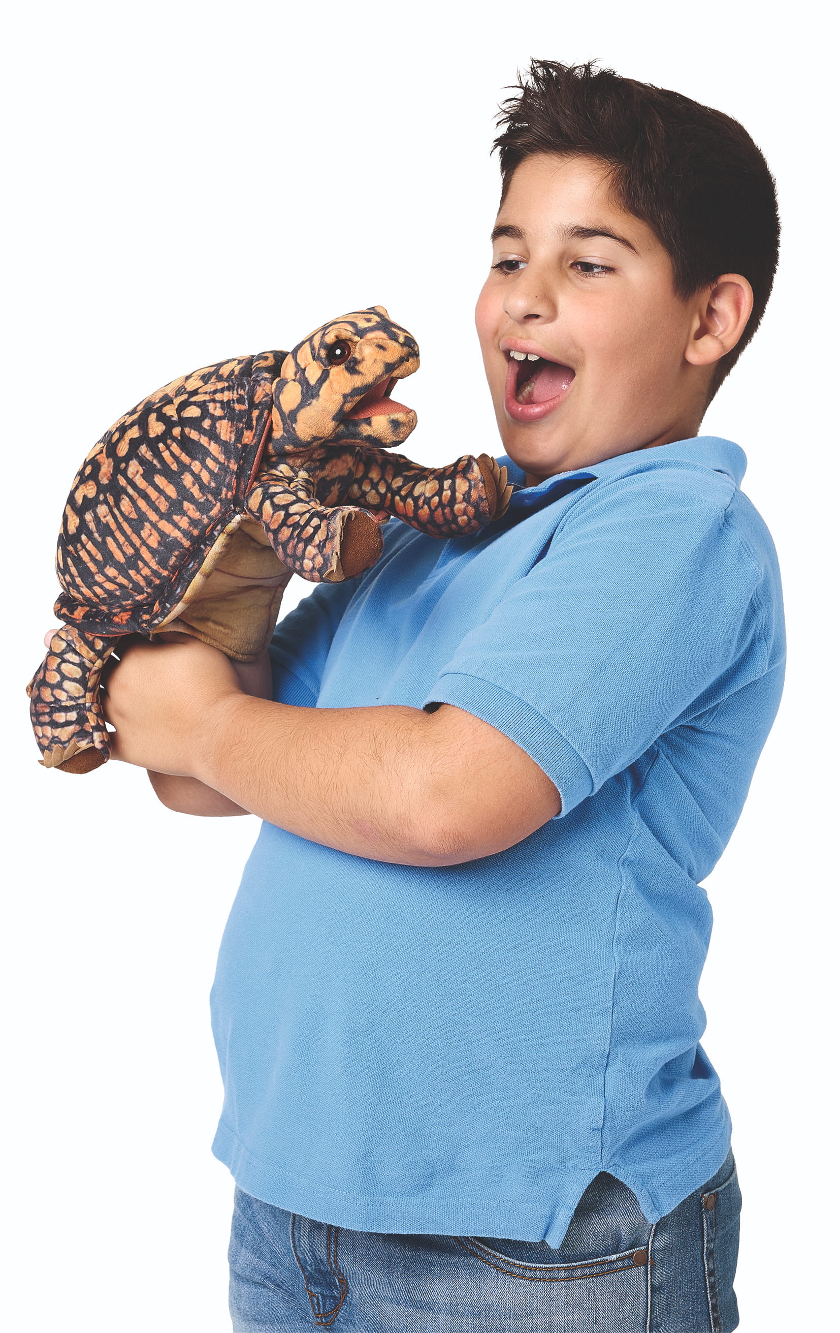 Folkmanis Dosenschildkröte