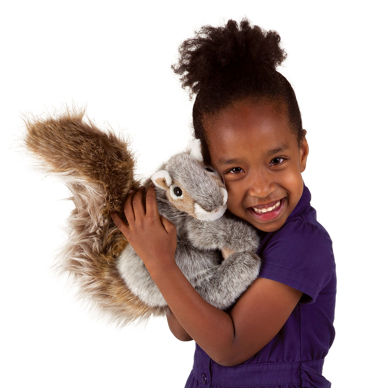Grey Squirrel