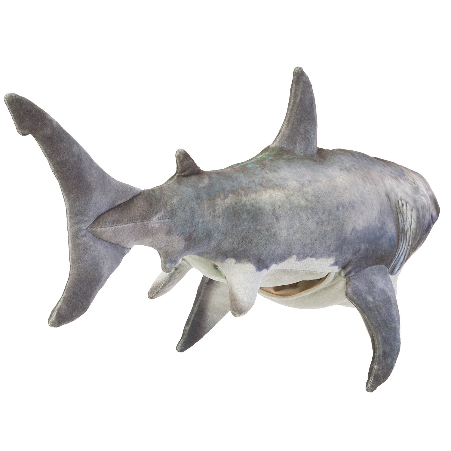 Great white shark