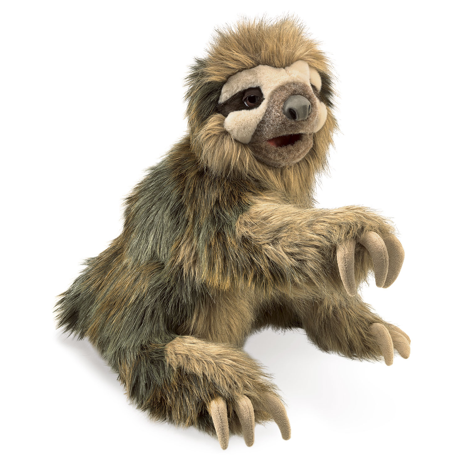 Three-Toed Sloth