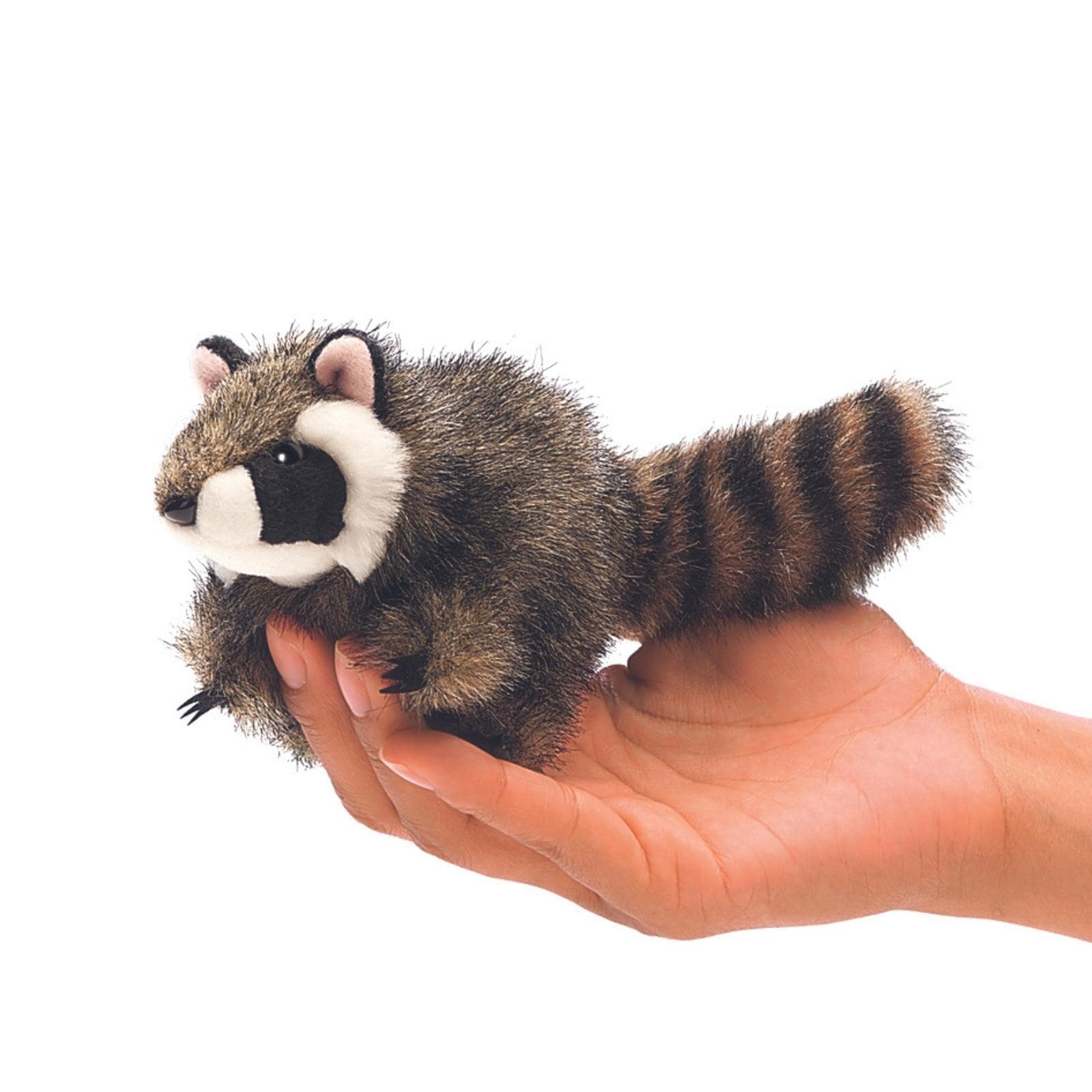 Mini Raccoon