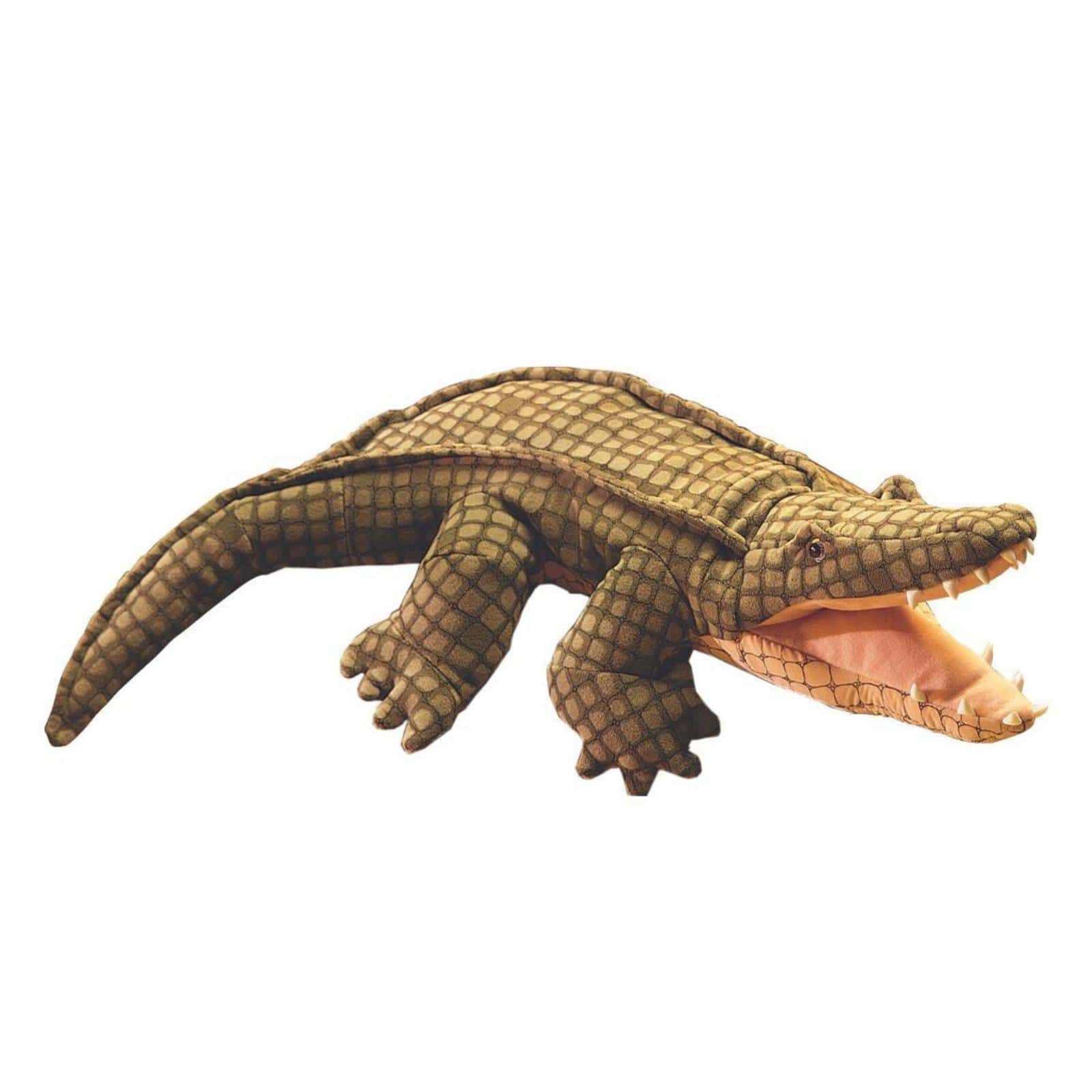 Alligator