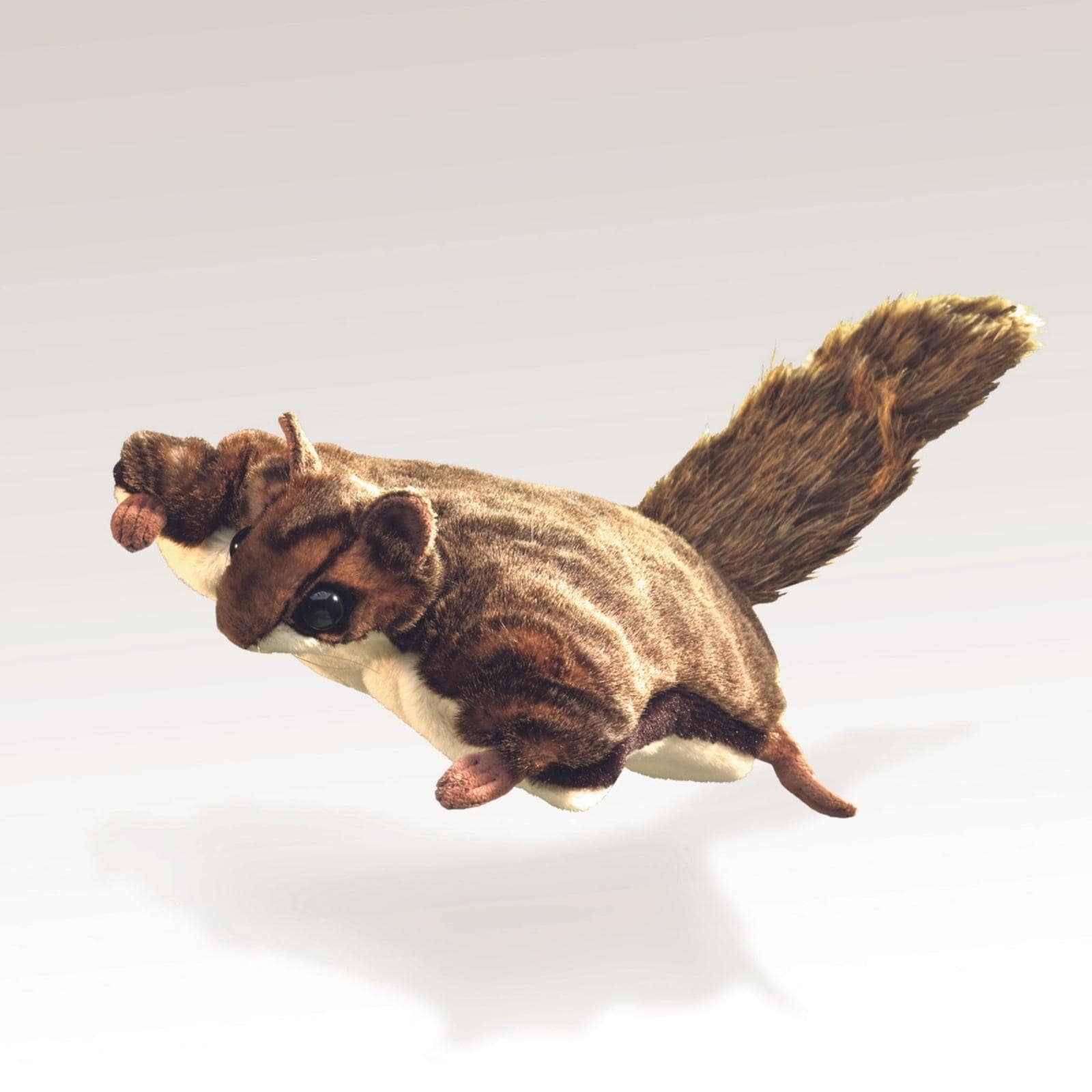 Flying Squirrel