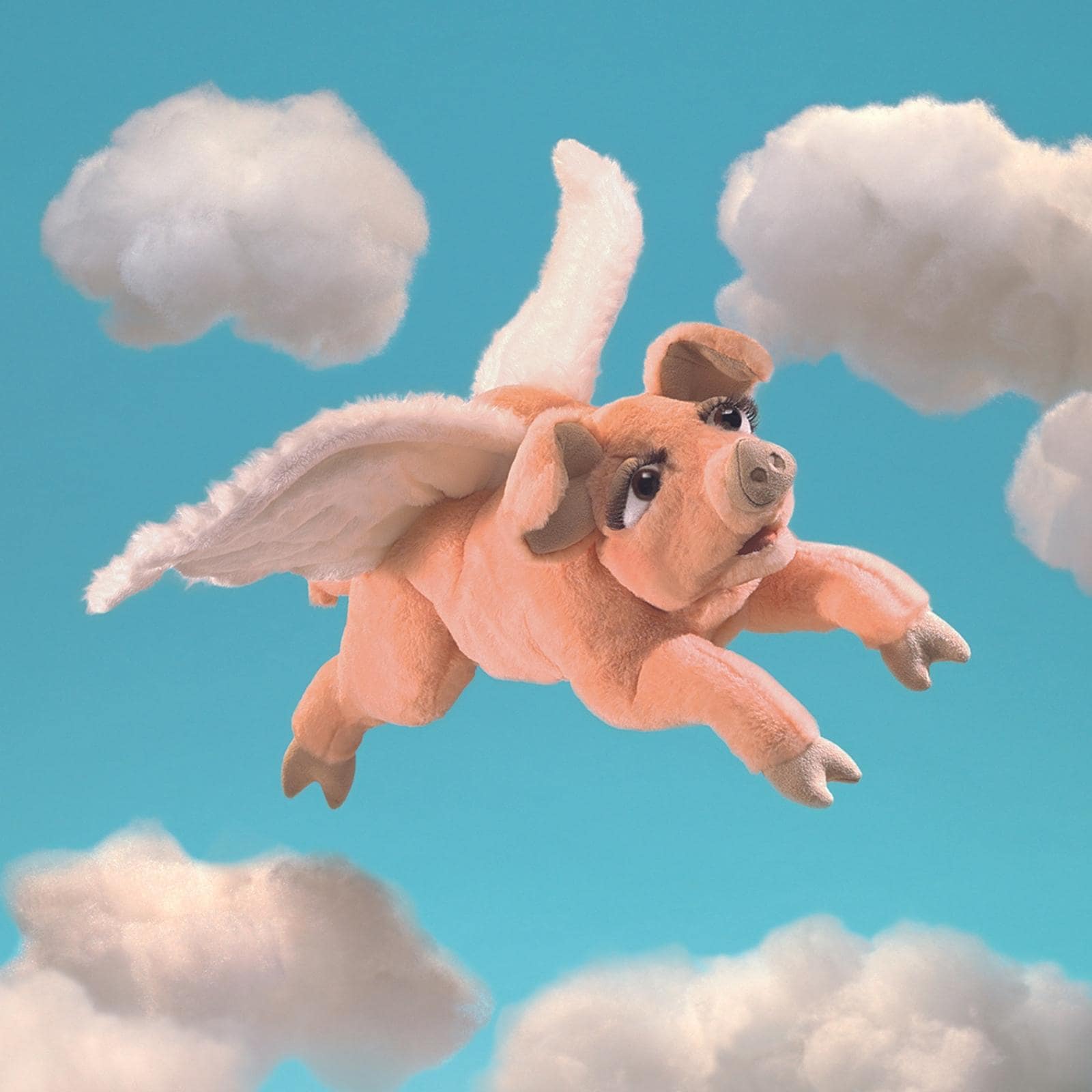 Flying Pig
