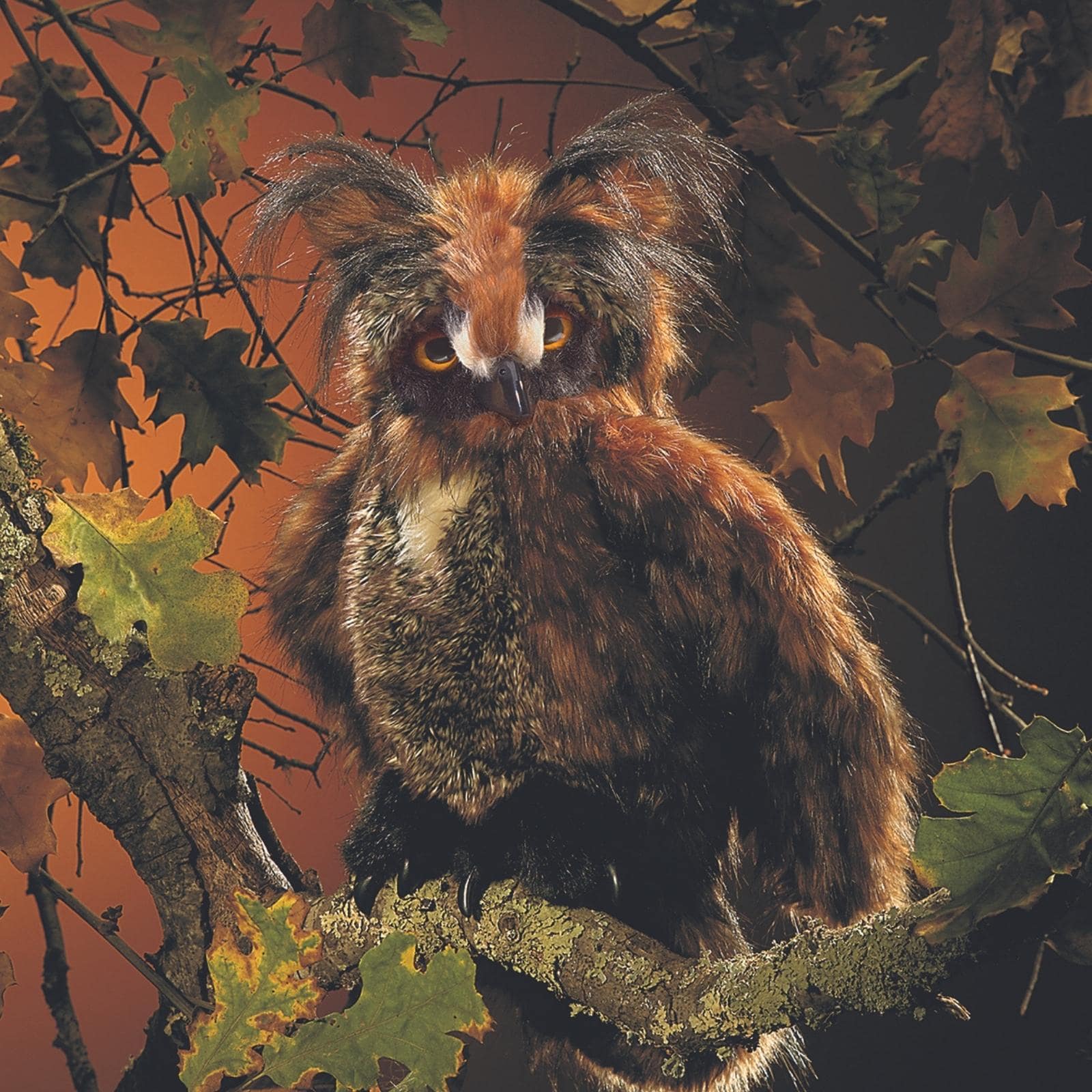 Great Horned Owl