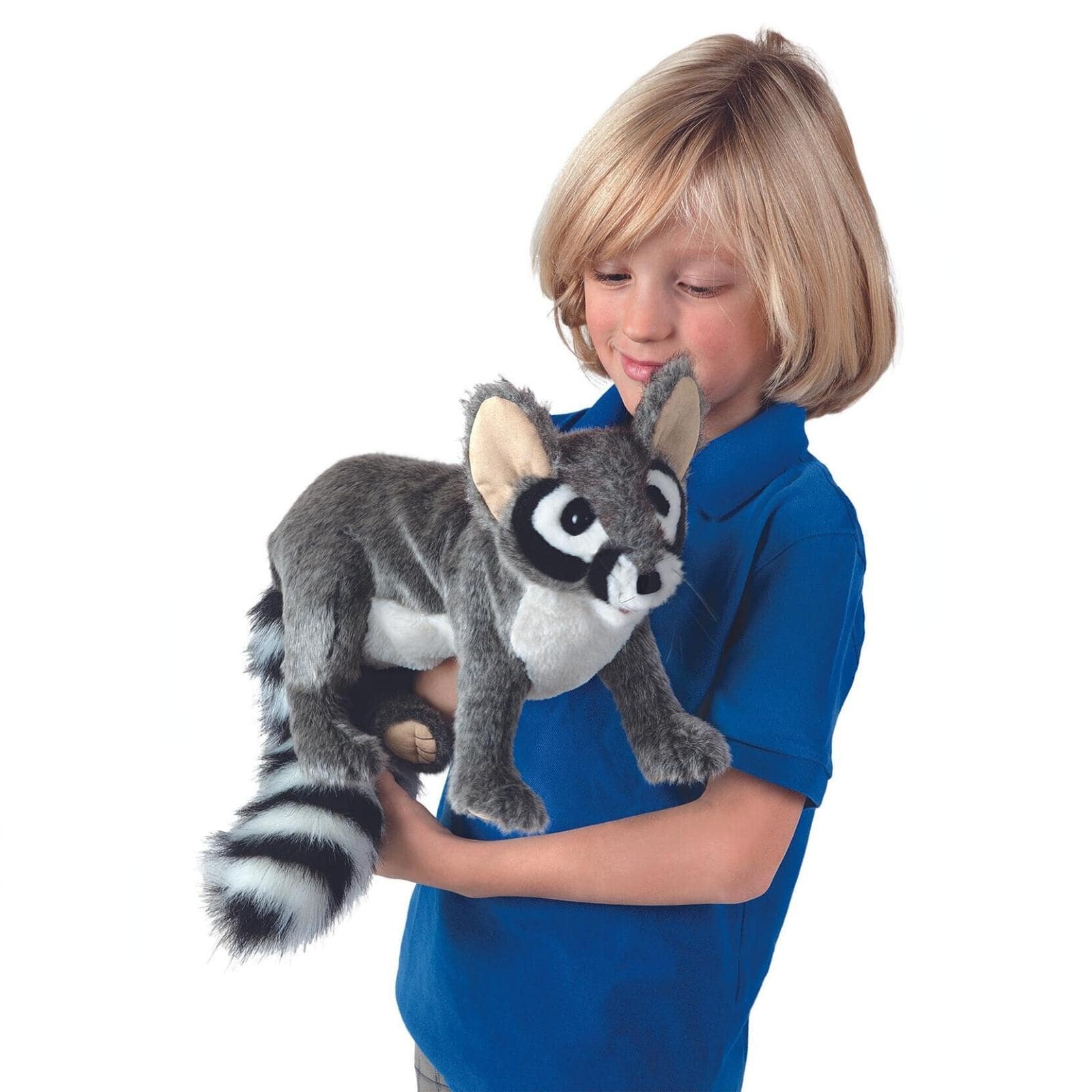 Ringtail Cat