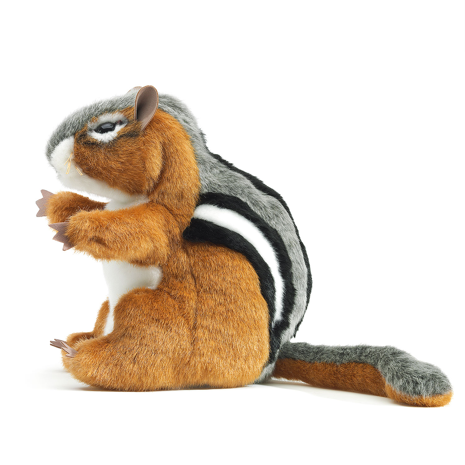 Chipmunk