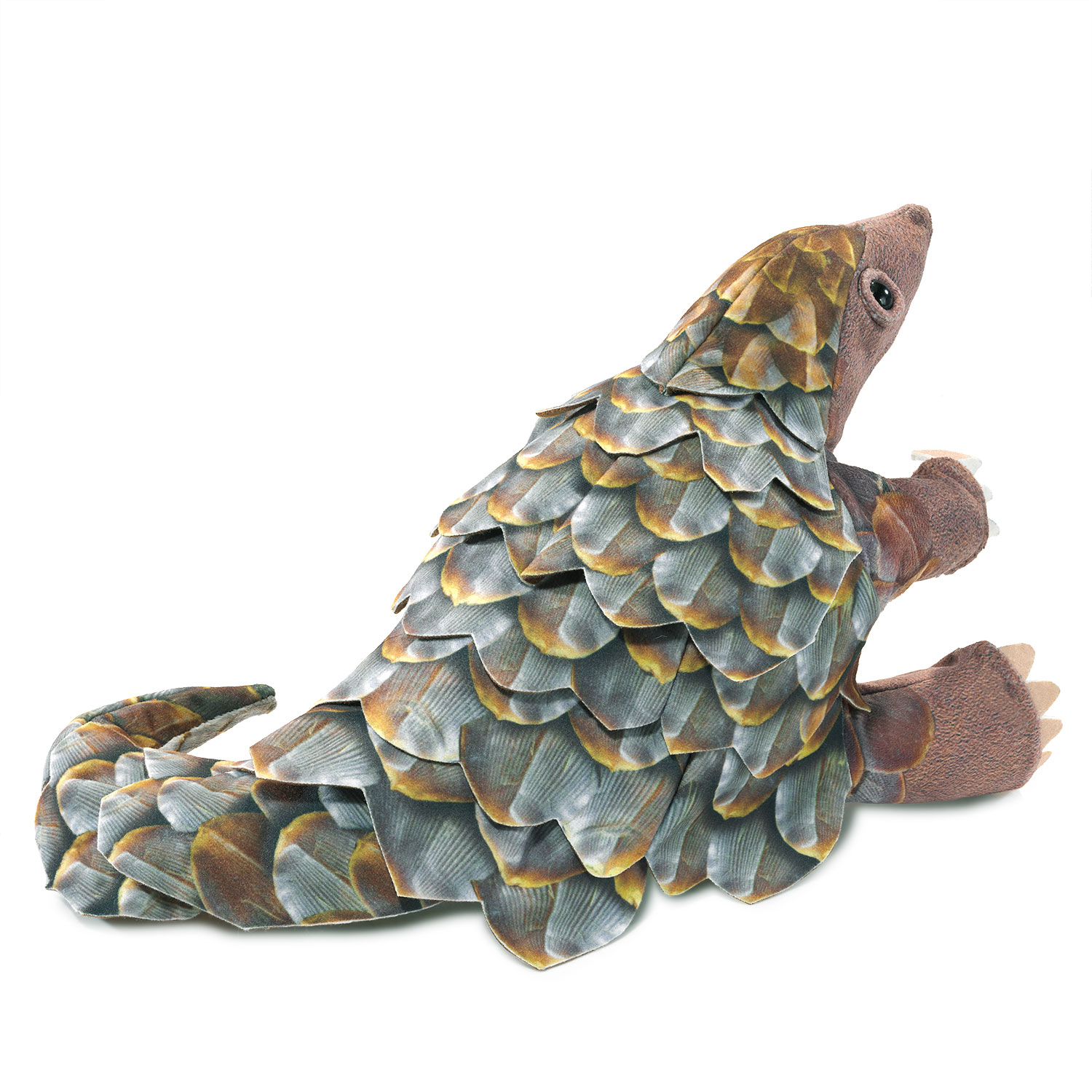 Pangolin
