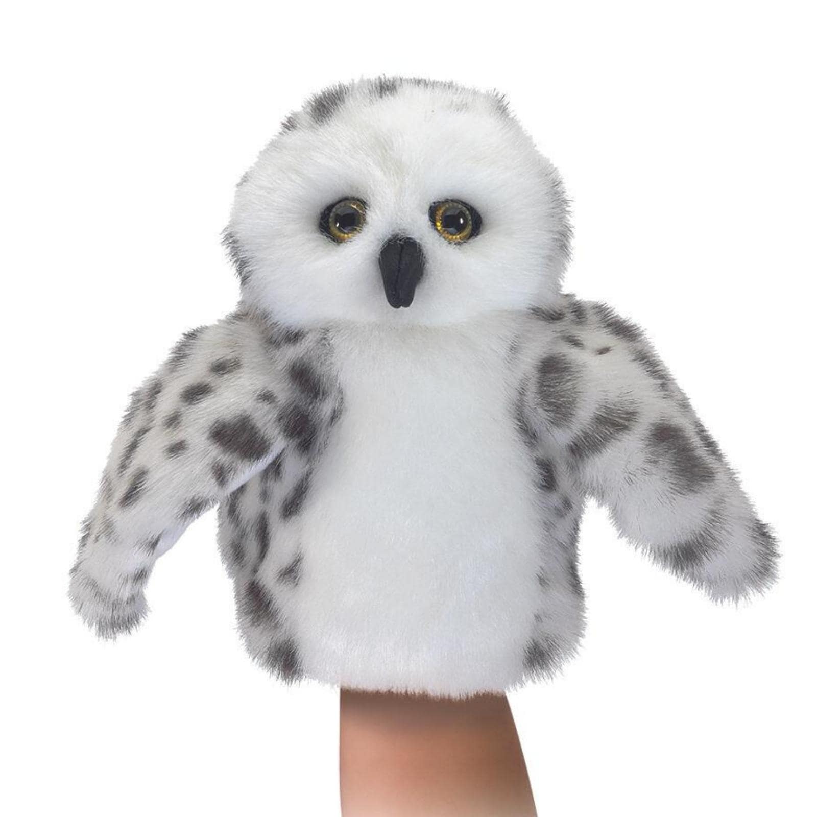Little Snowy Owl
