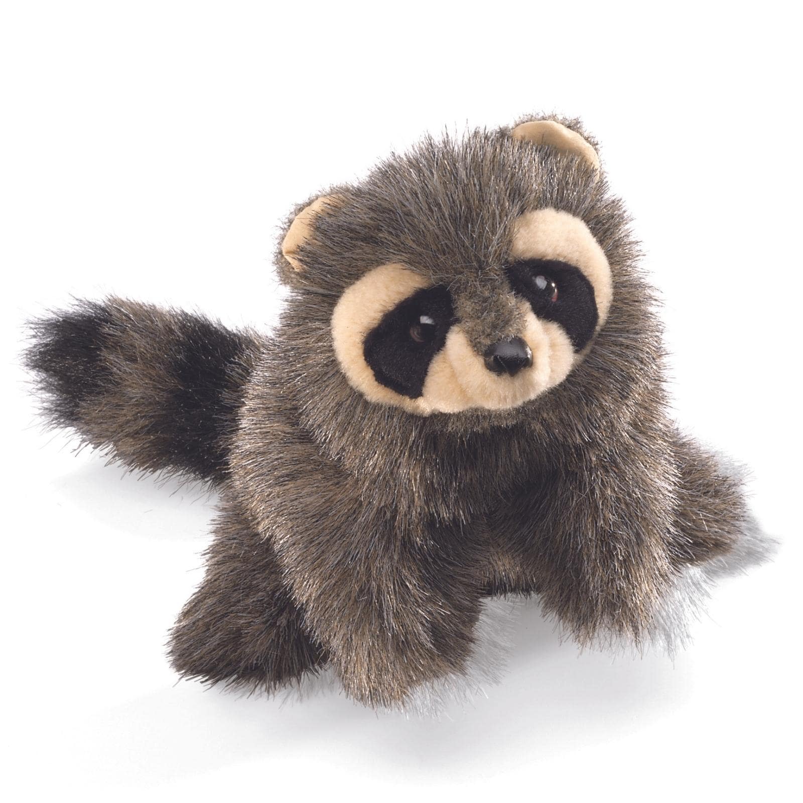 Baby Raccoon