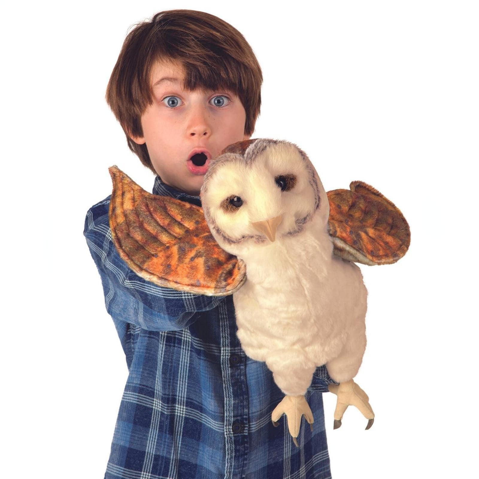 Barn Owl