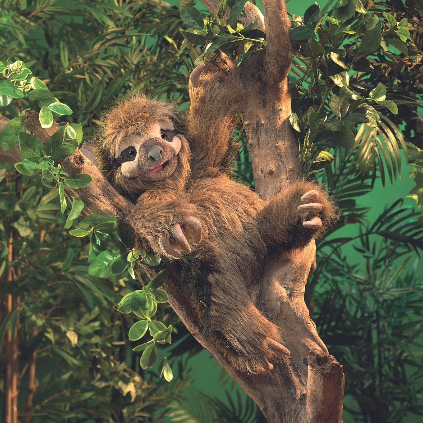Three-Toed Sloth