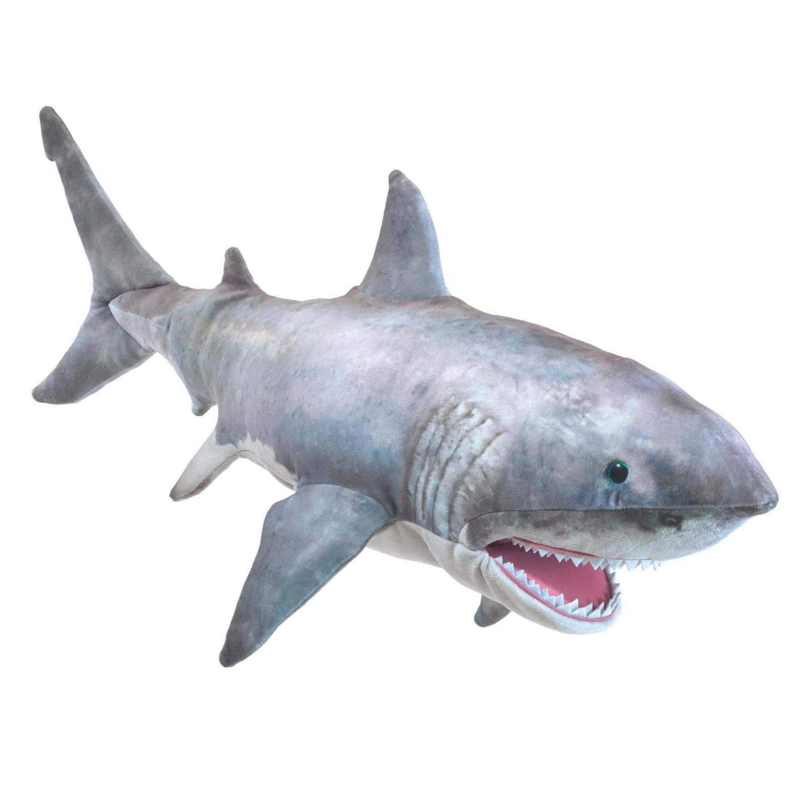 Great white shark