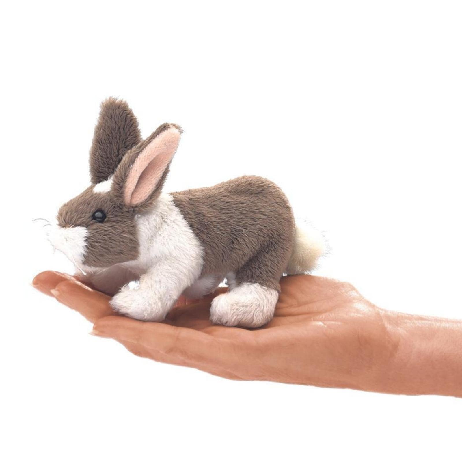 Mini Bunny Rabbit