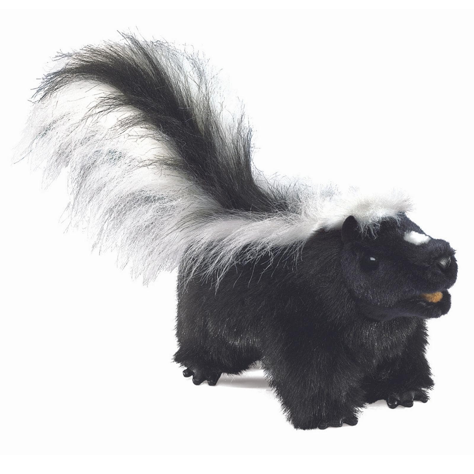 Skunk