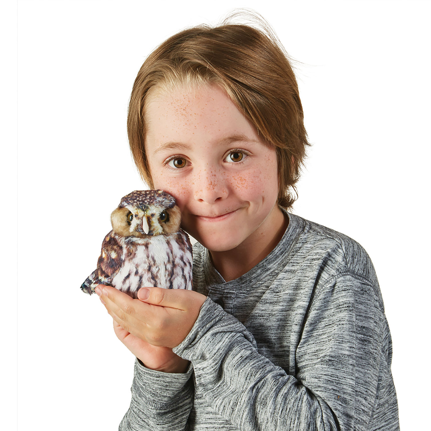 Pygmy Owl