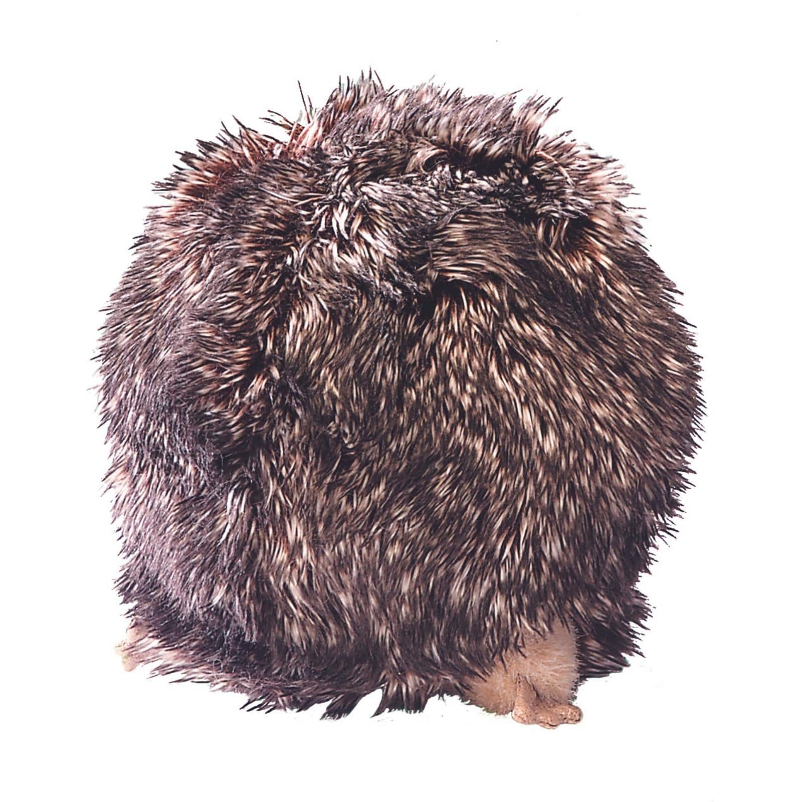 Hedgehog