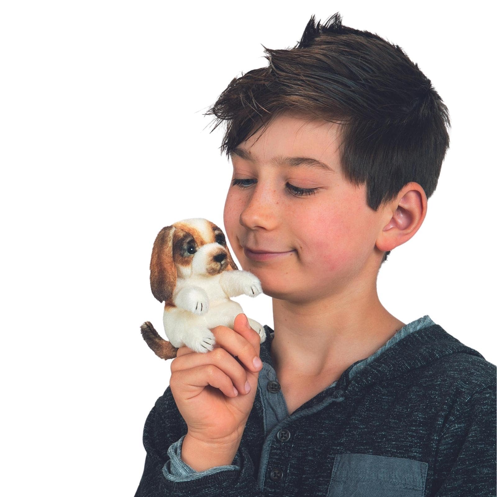 Mini Dog