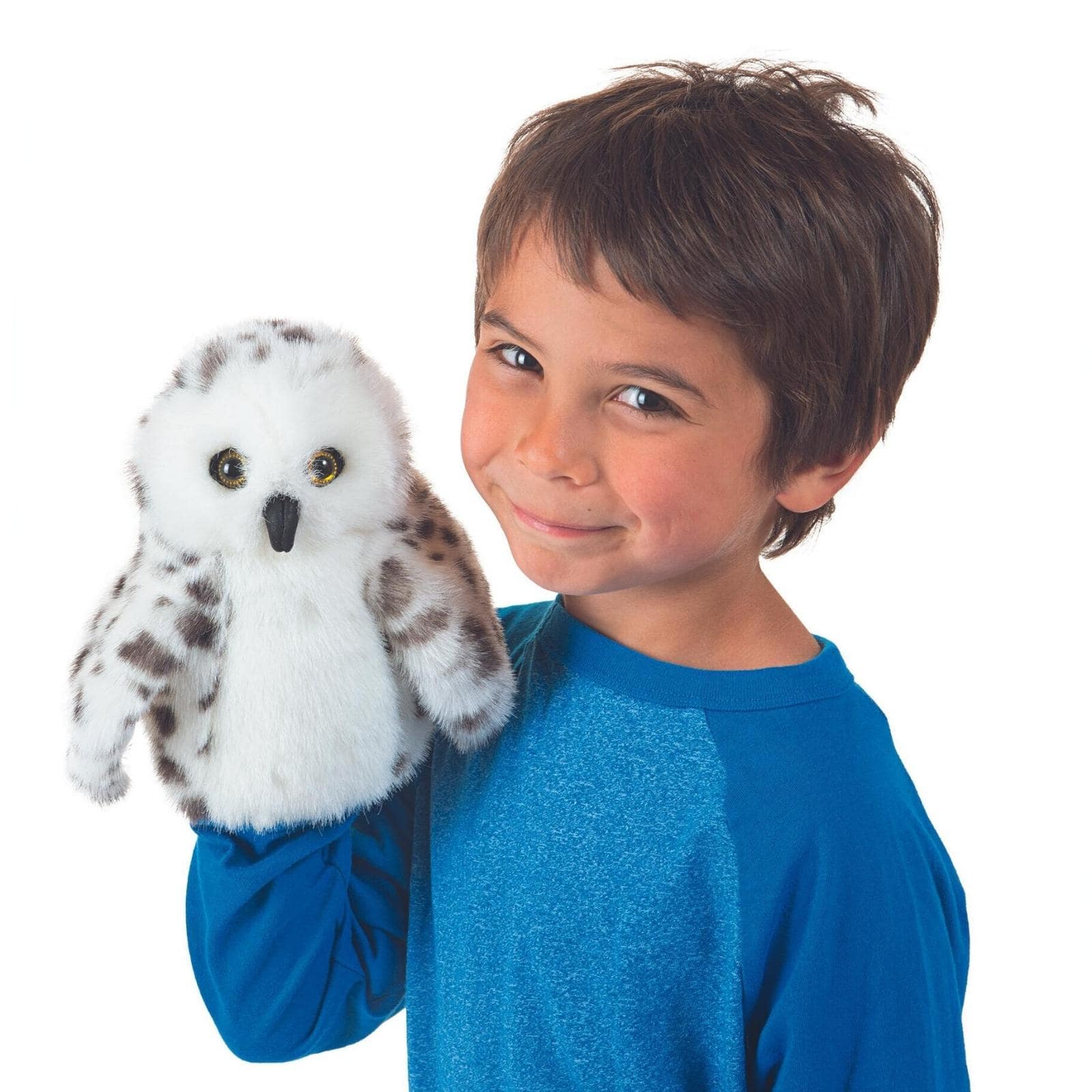 Little Snowy Owl