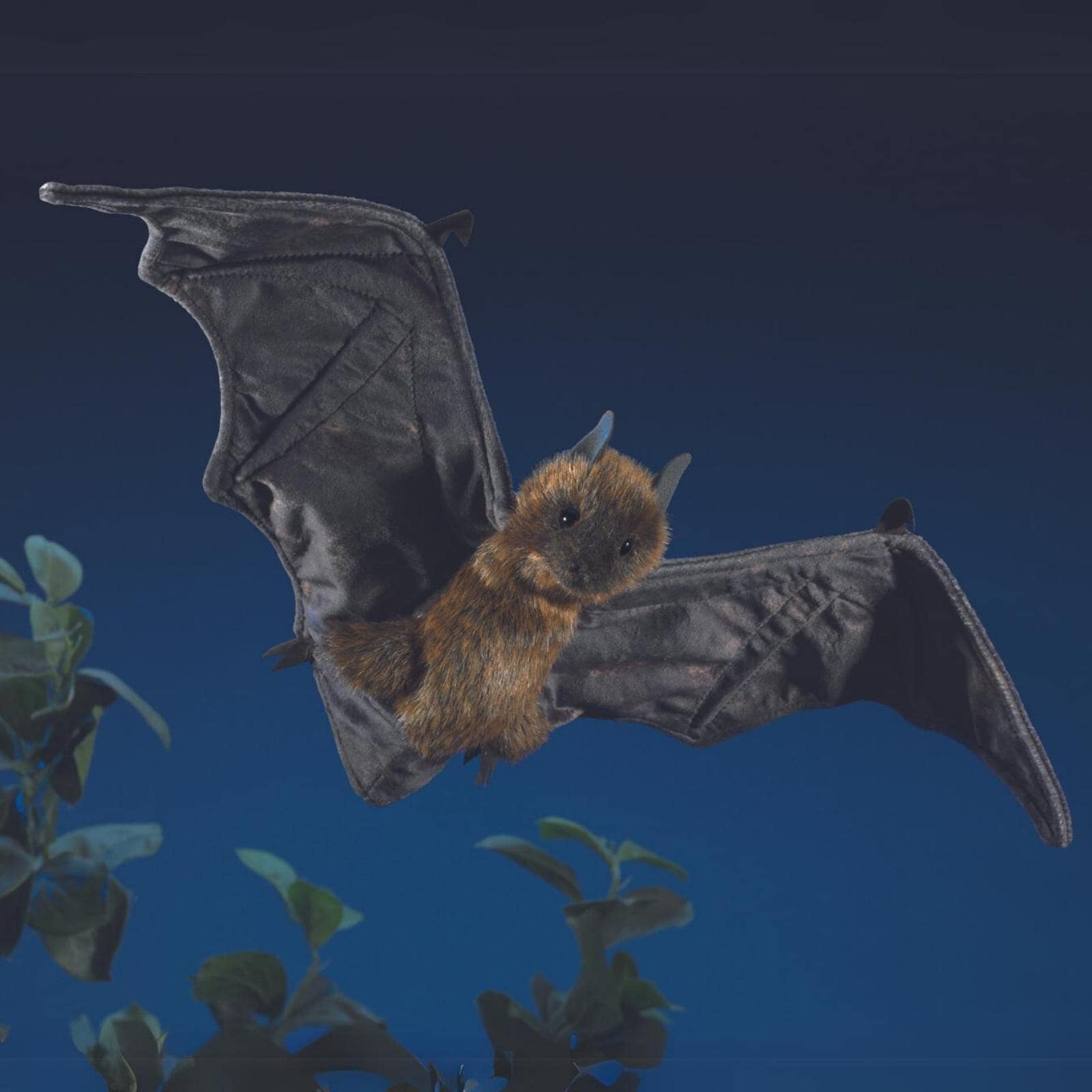 Fruit Bat