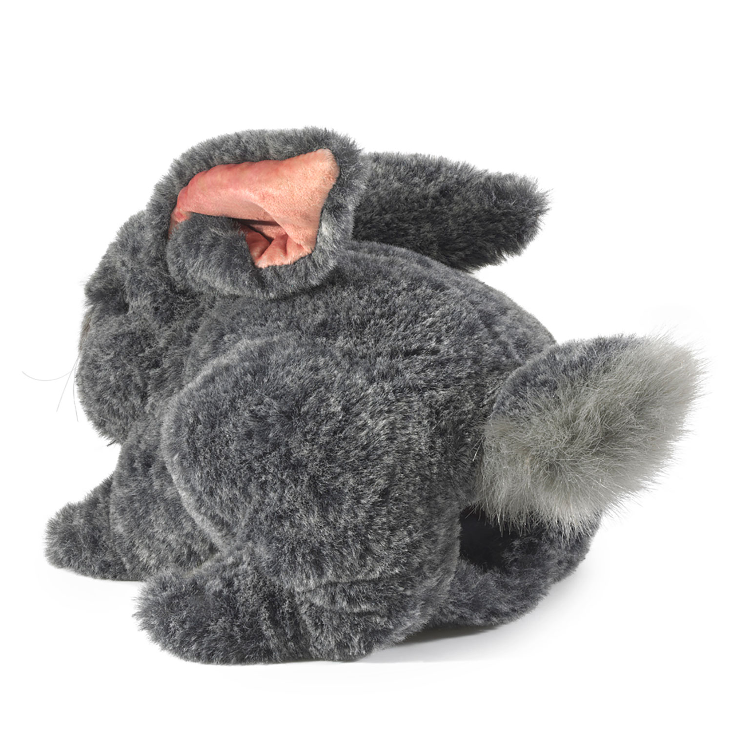 Gray Bunny Rabbit