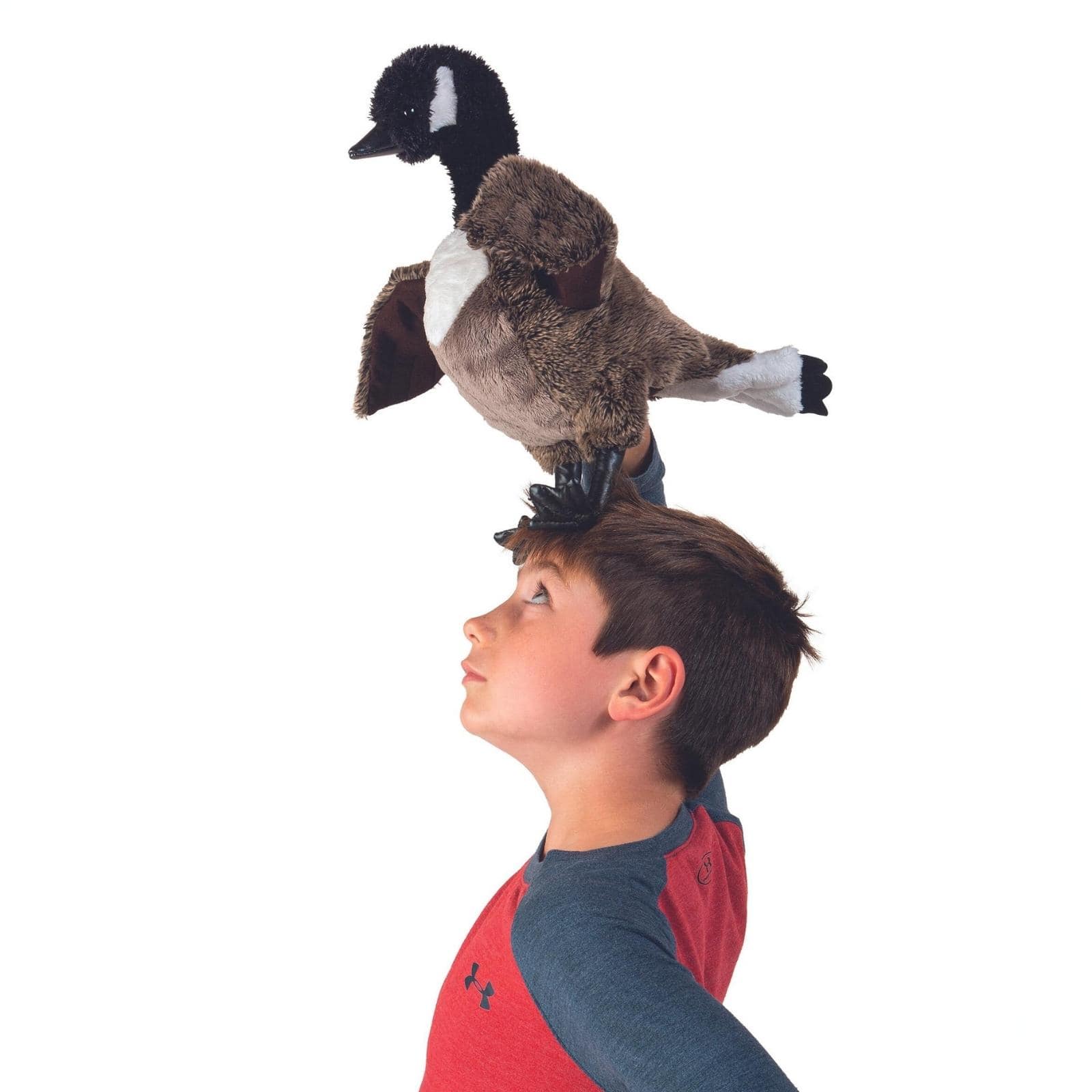 Canada Goose