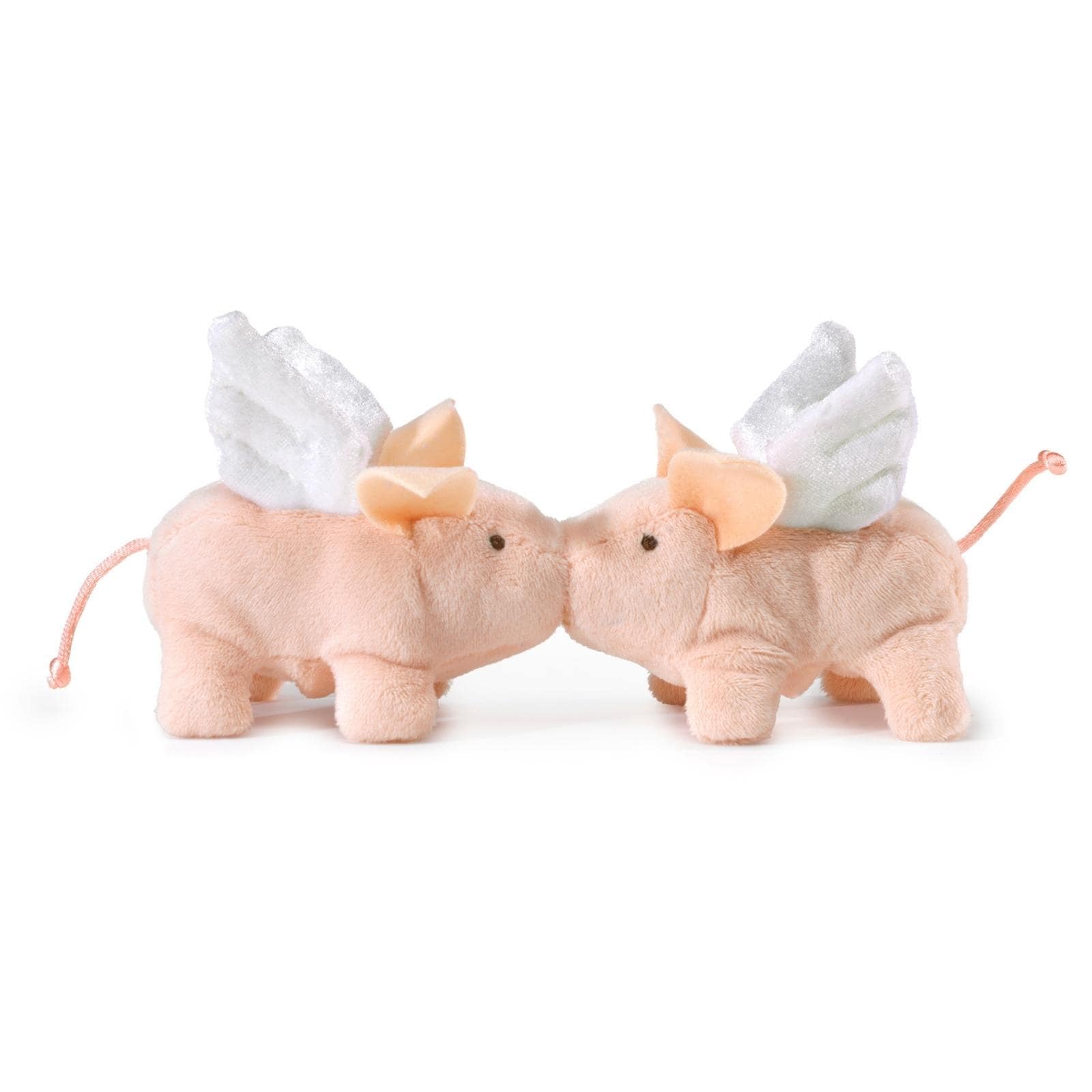 Mini Winged Piglet