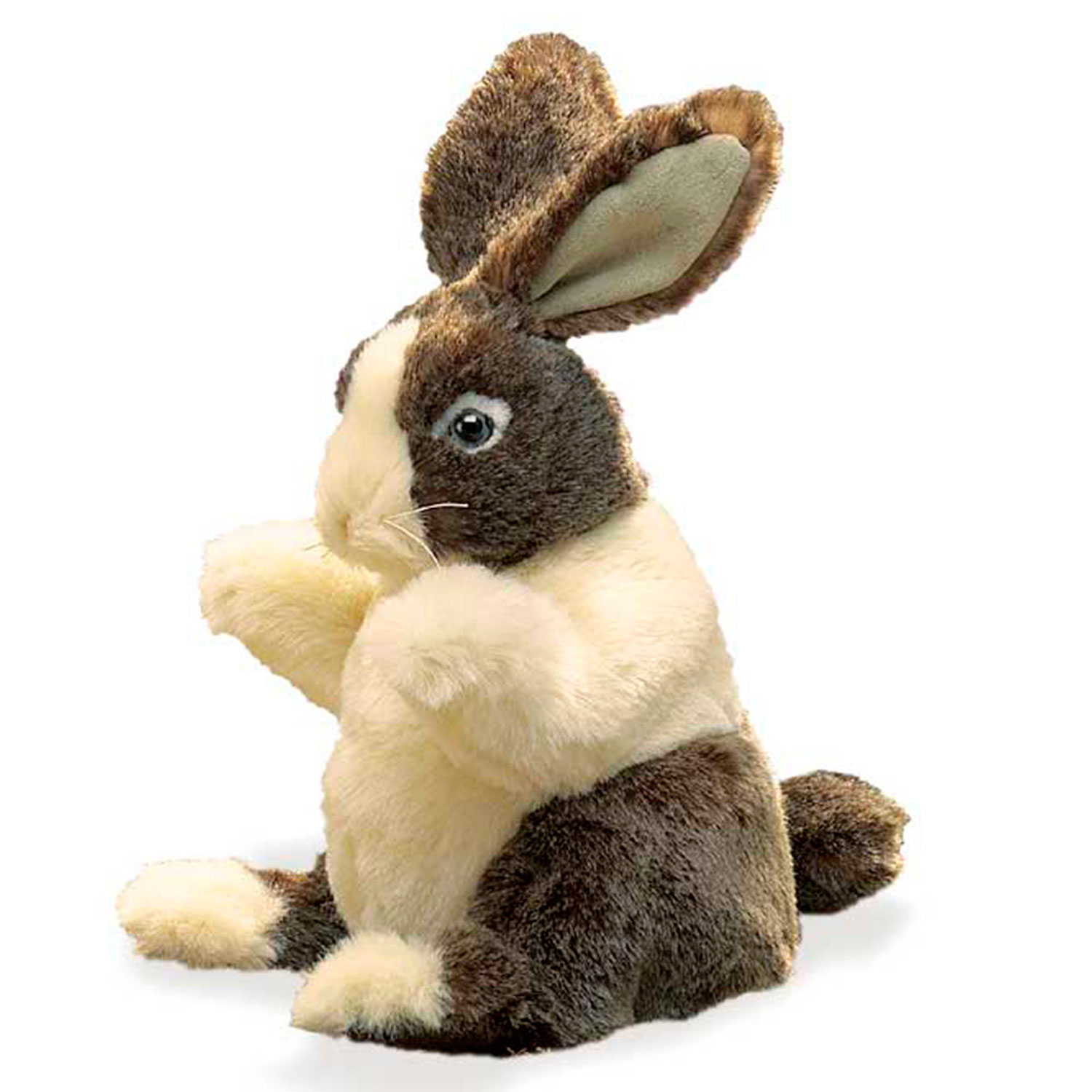 Baby Dutch Rabbit