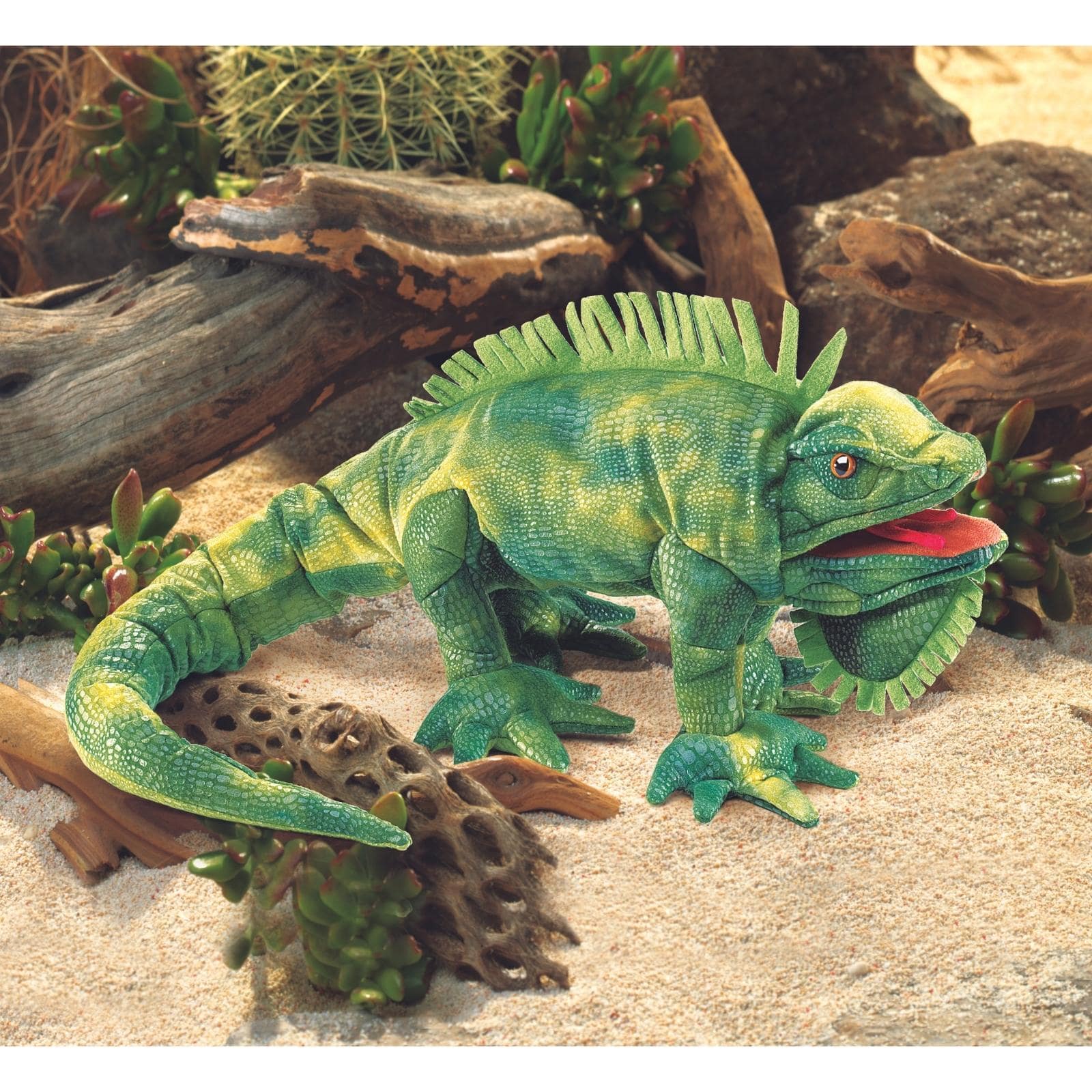 Iguana