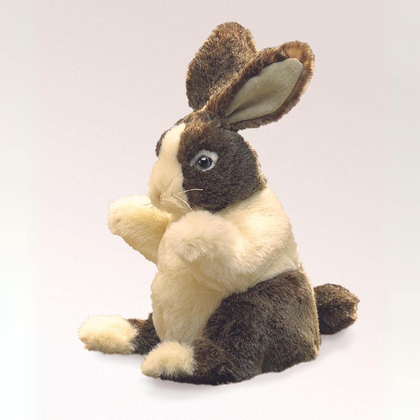 Baby Dutch Rabbit