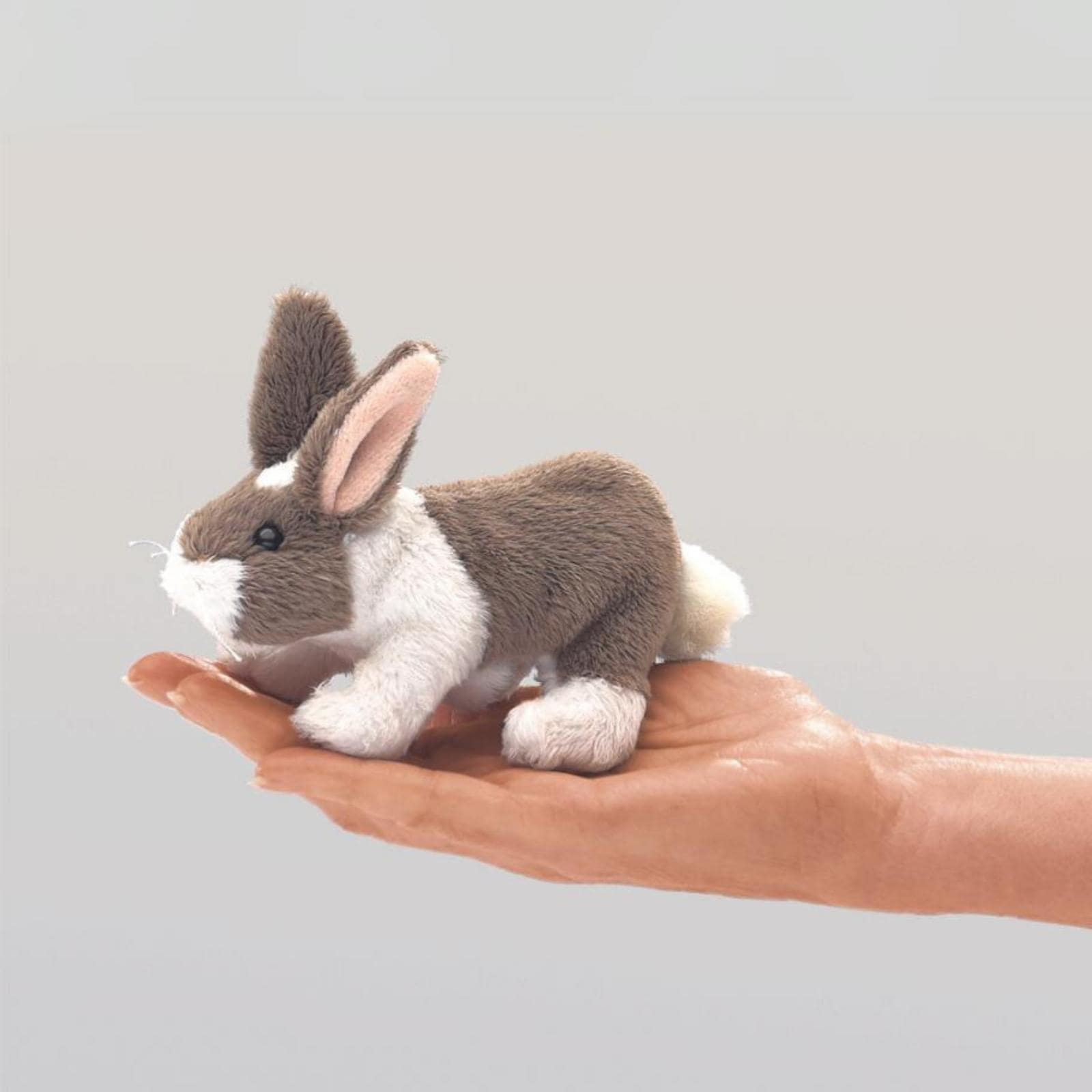 Mini Bunny Rabbit