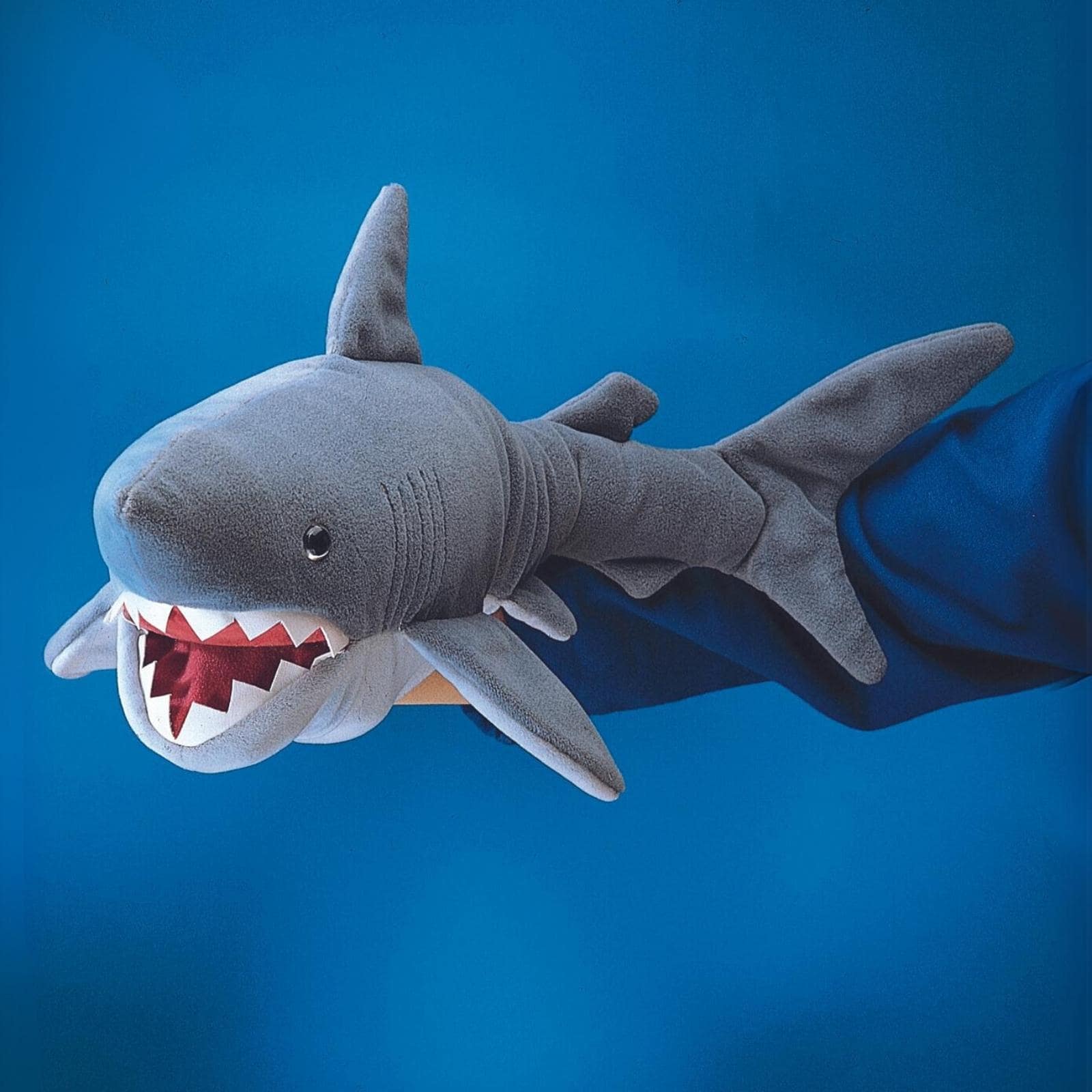 Shark
