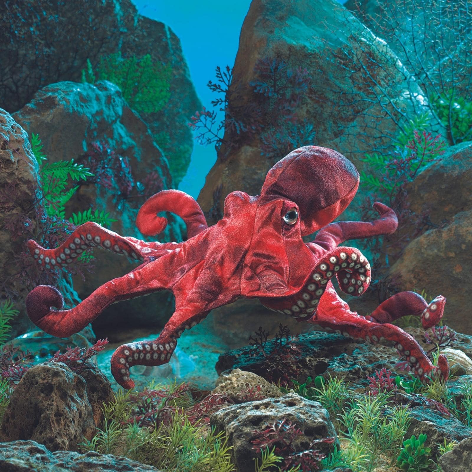 Red Octopus