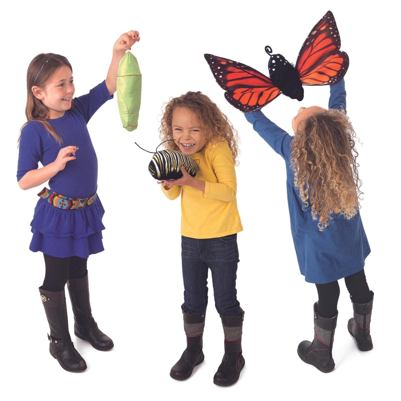 Monarch Life Cycle - Metamorphose