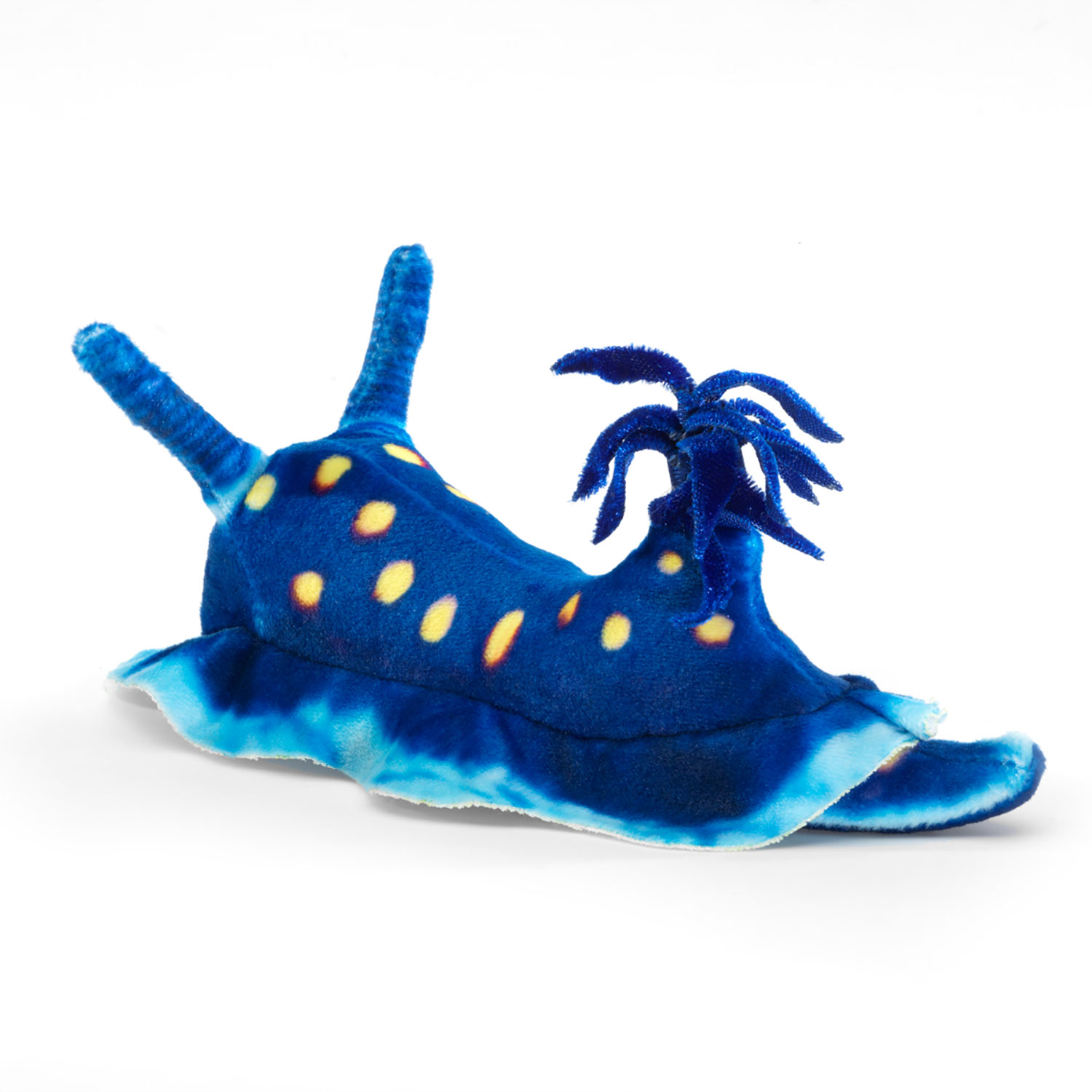 Mini Blue Nudibranch