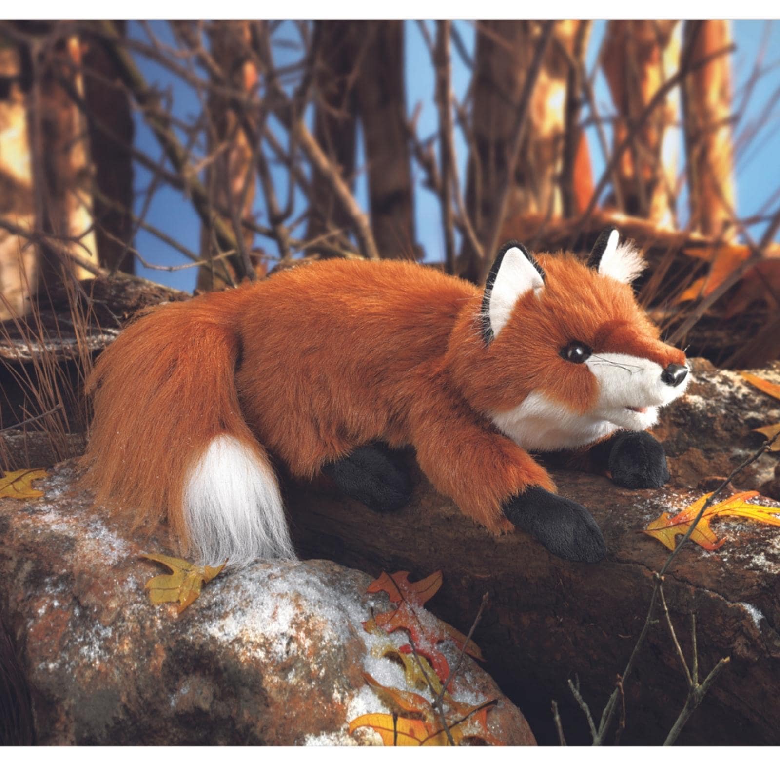 Small Red Fox