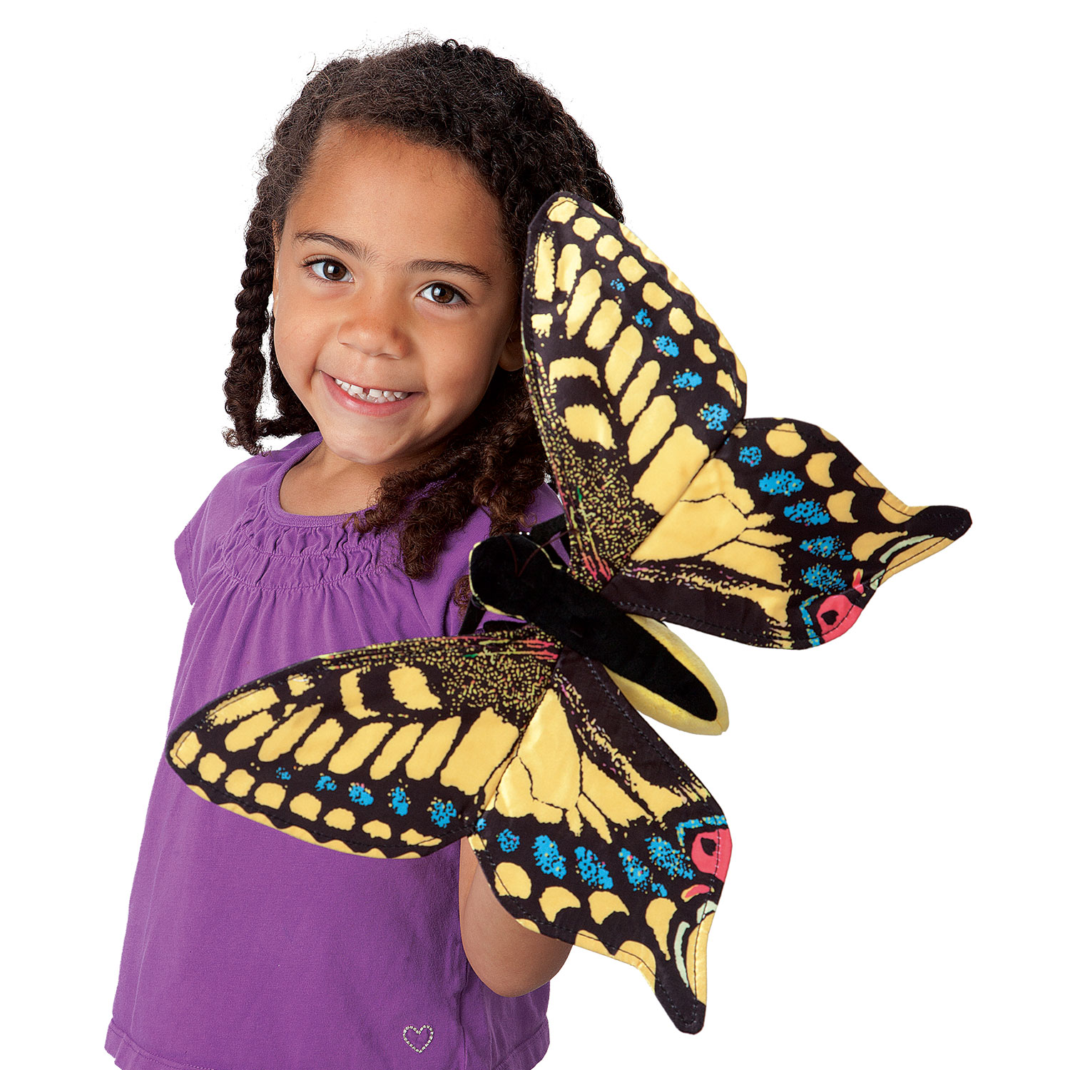 Swallowtail Butterfly