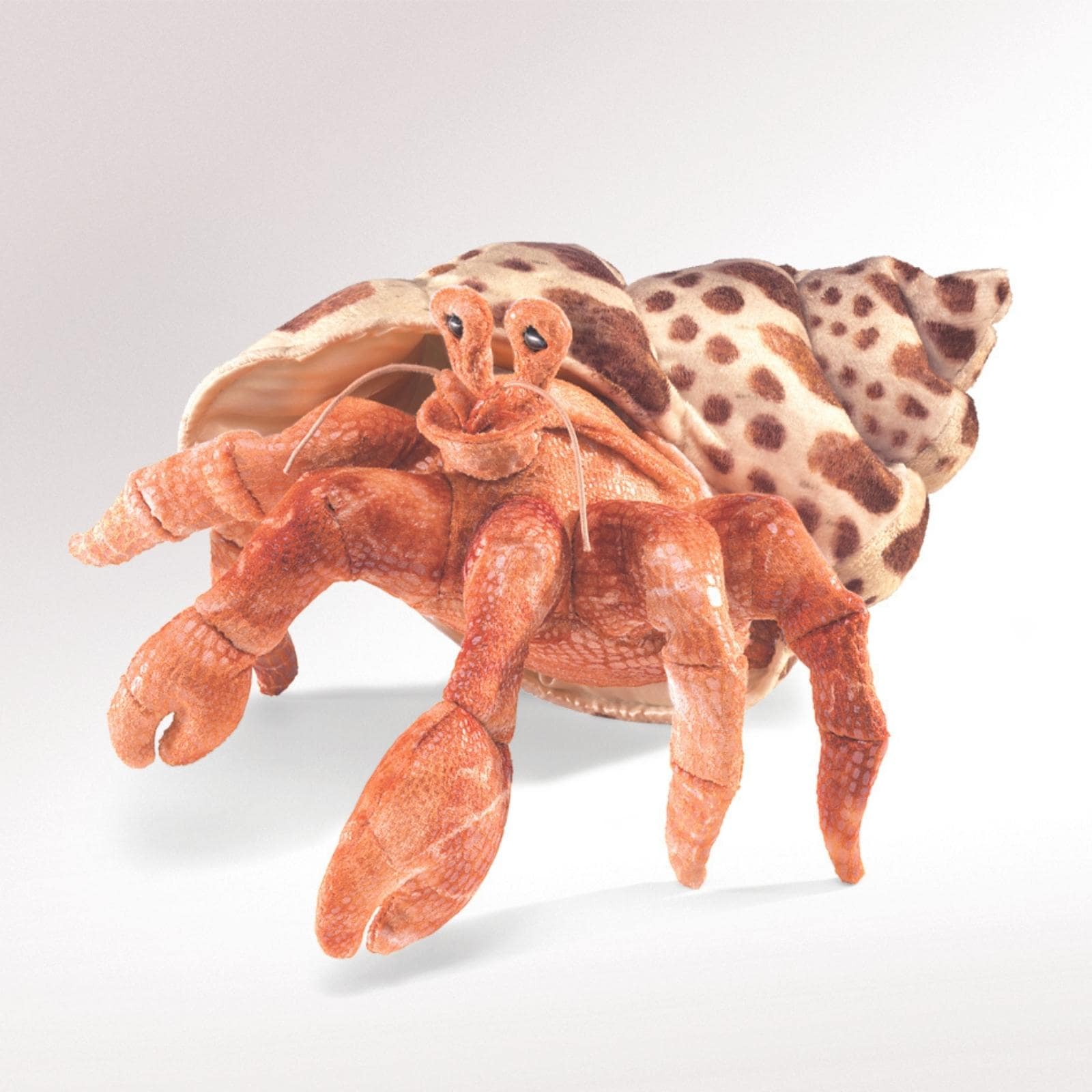 Hermit Crab
