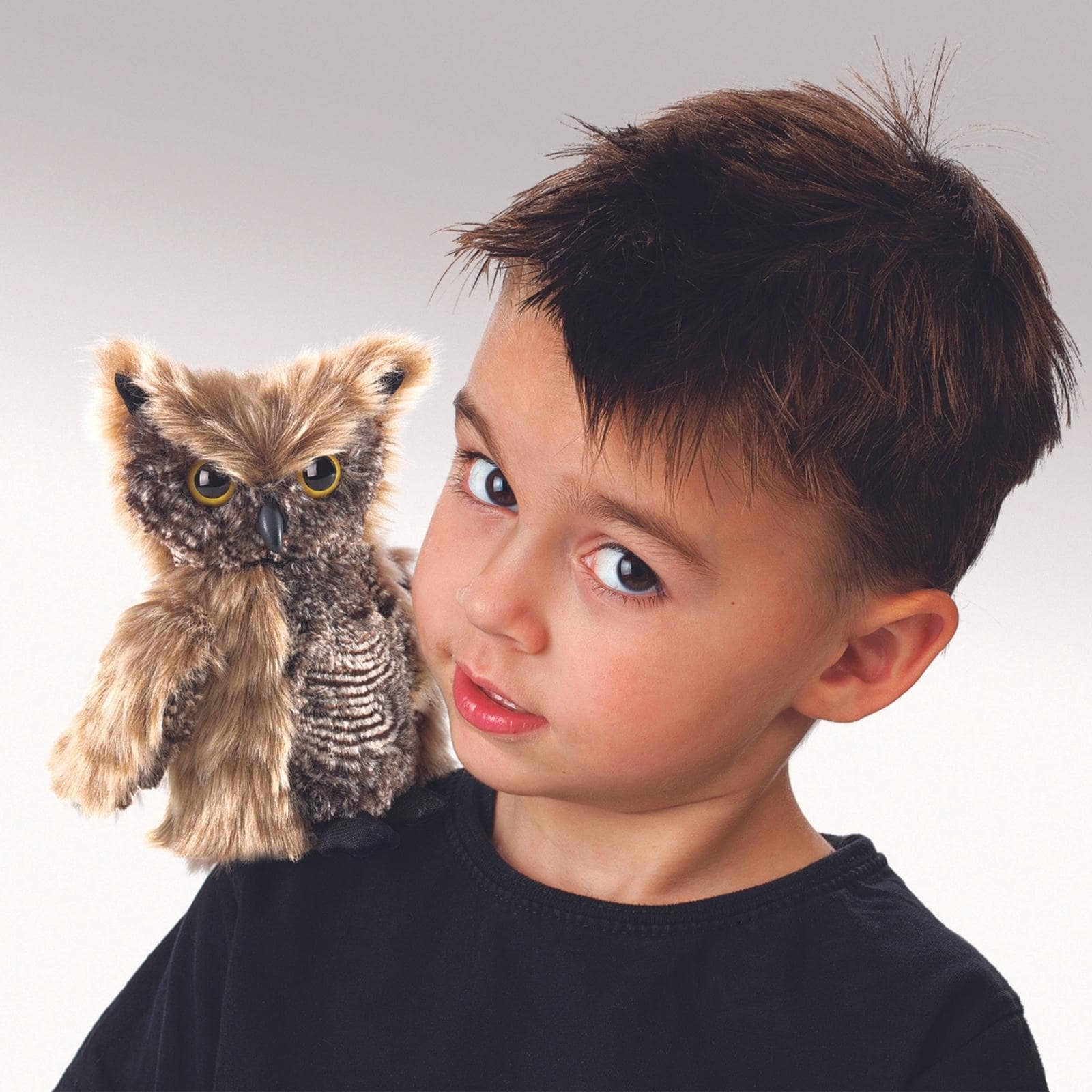 Screech Owl