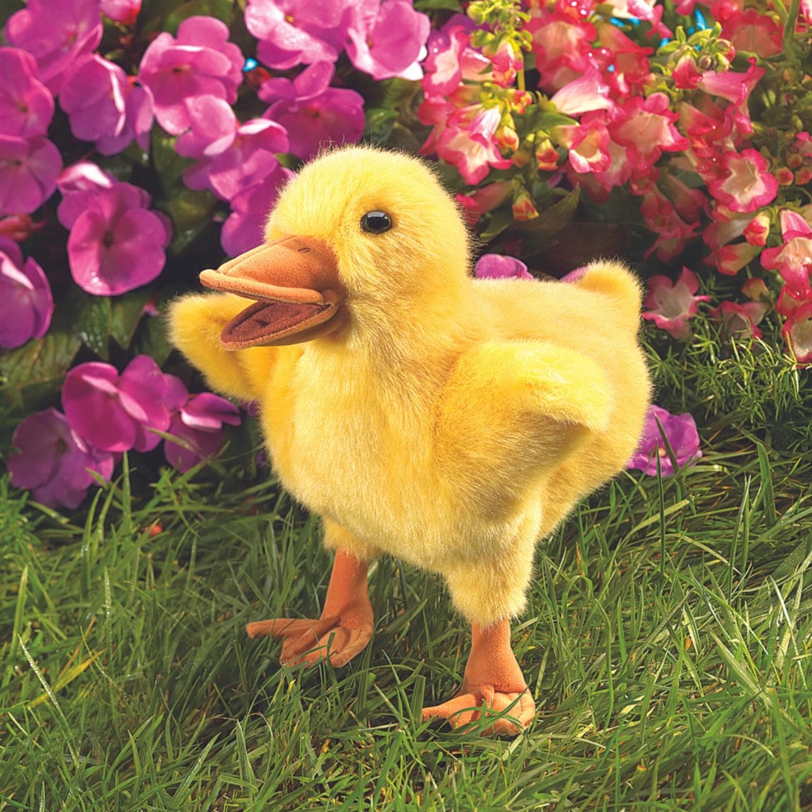 Duckling