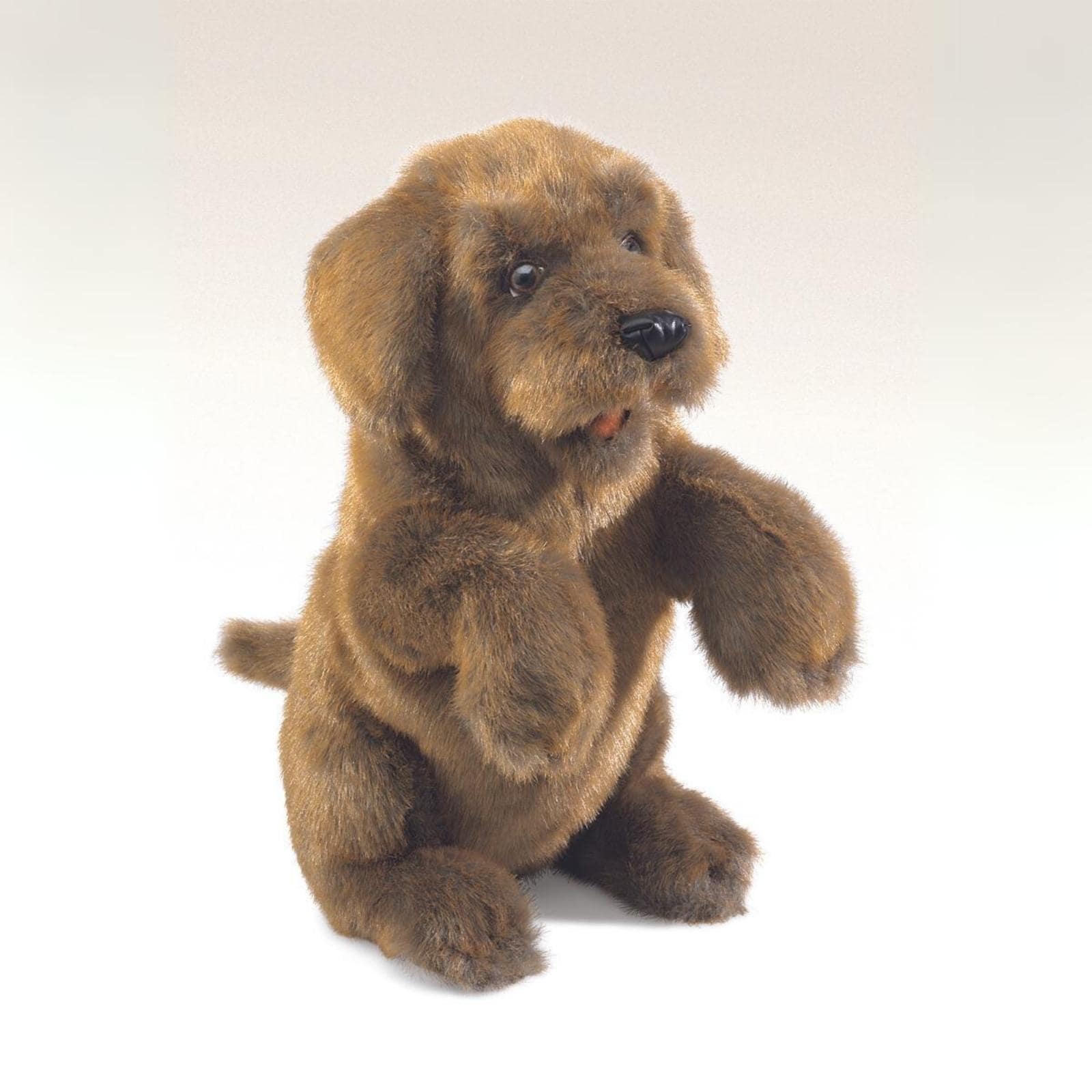 Sitting Dog