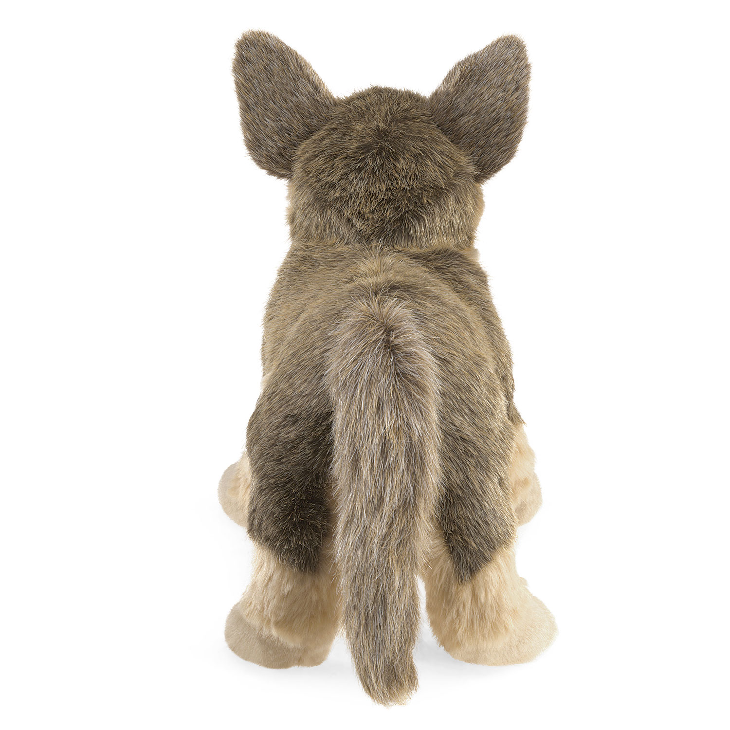 German Shepherd Puppy