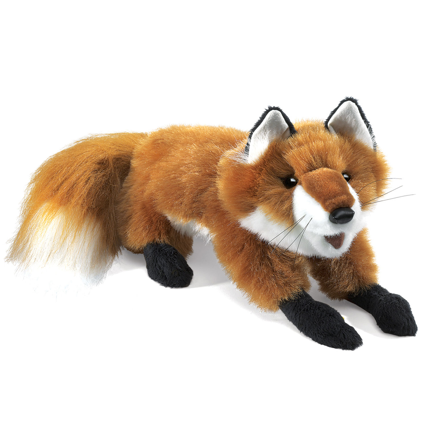 Small Red Fox