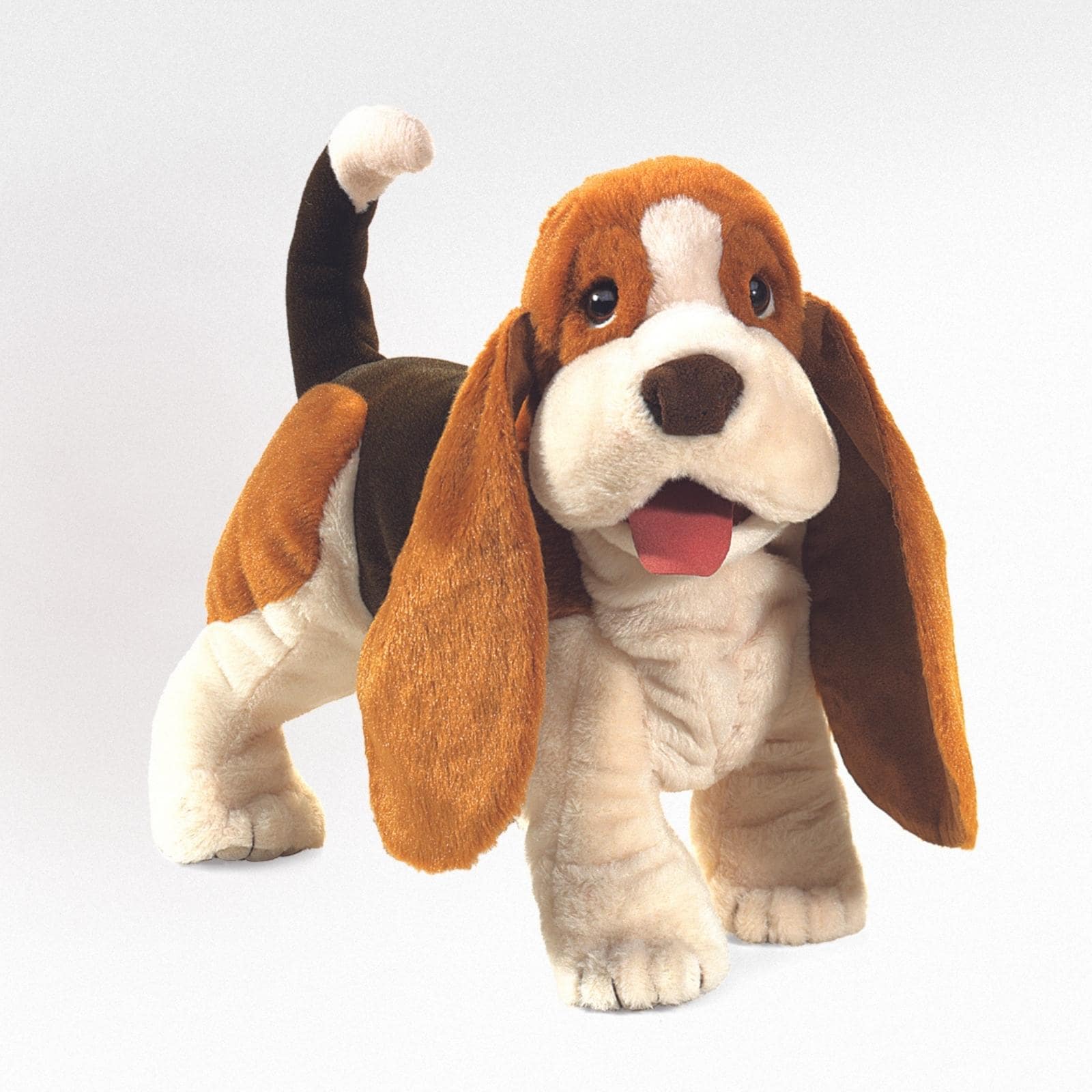Basset Hound