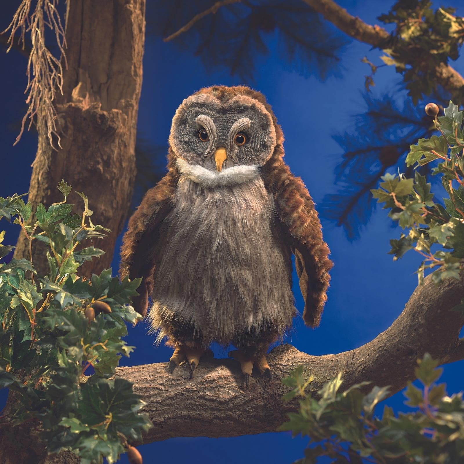 Hooting Owl