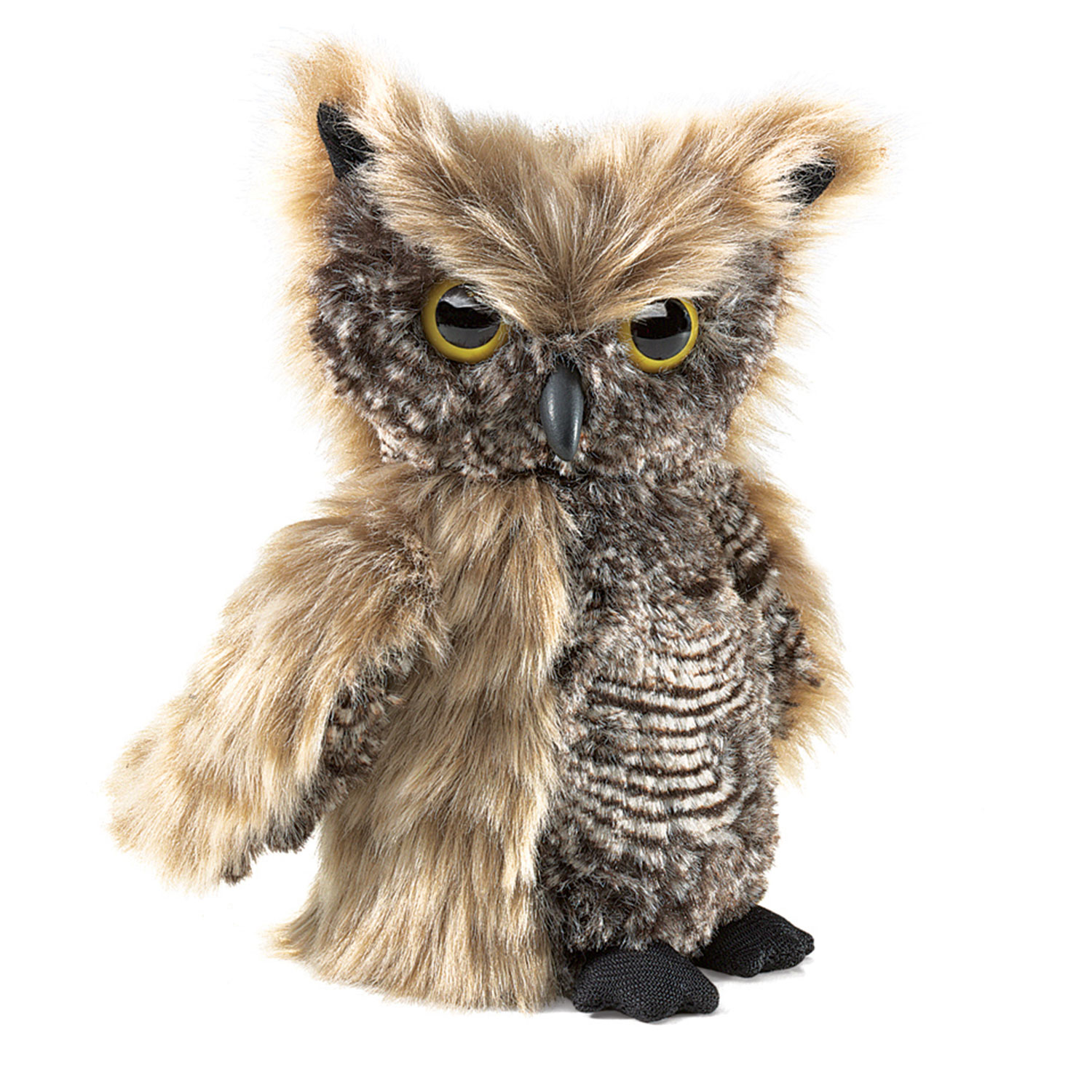 Screech Owl