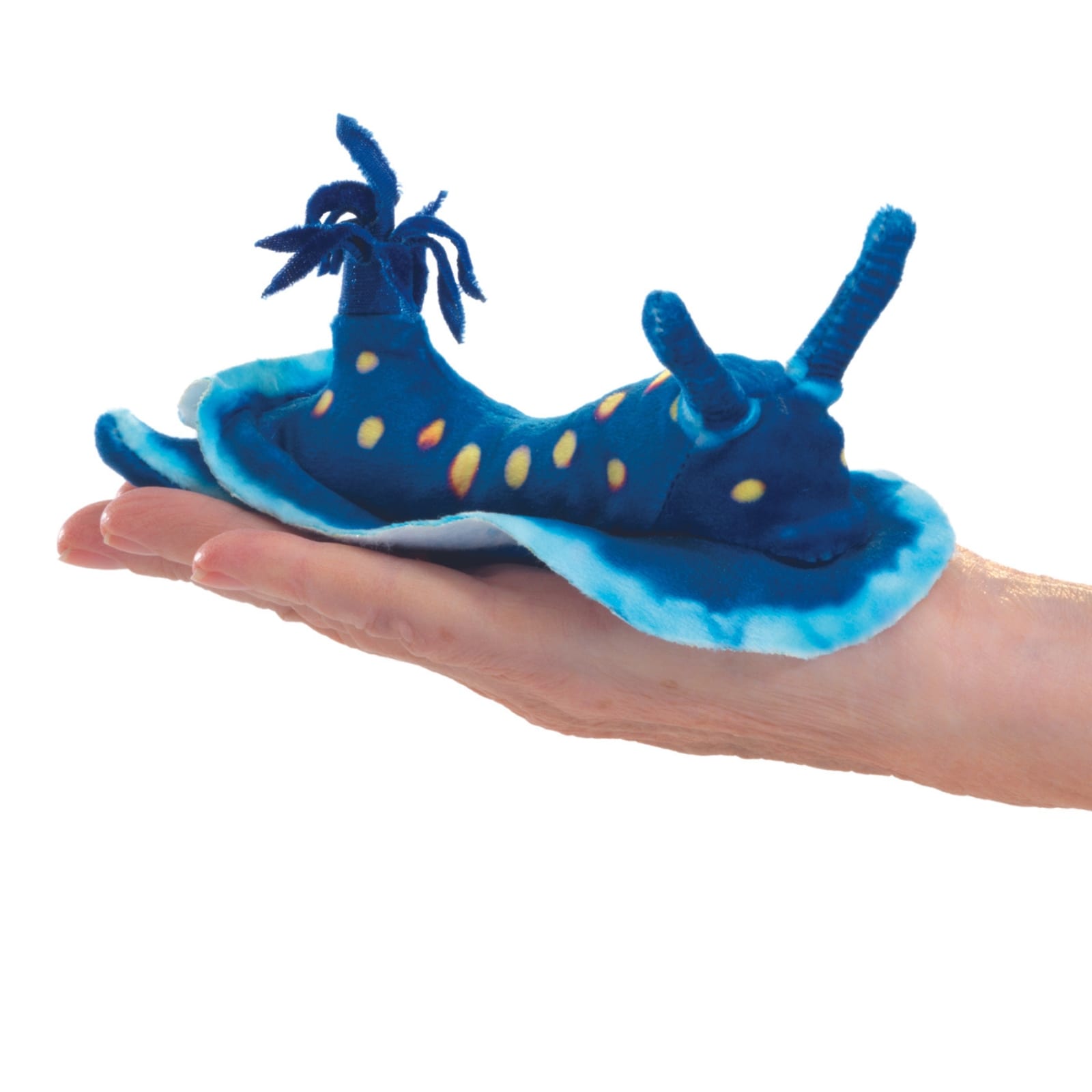 Mini Blue Nudibranch
