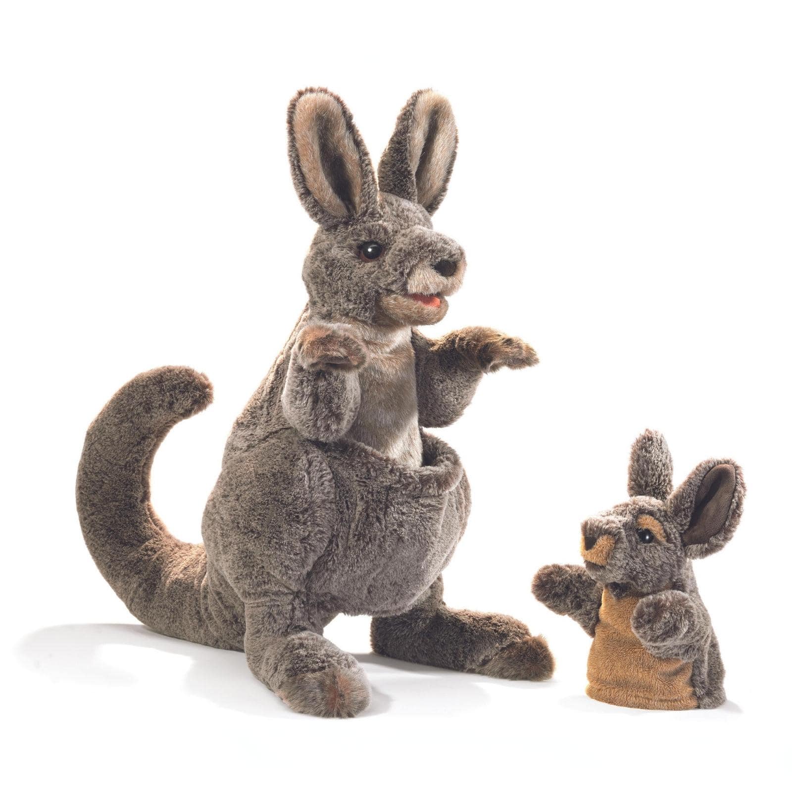 Kangaroo with Joey
